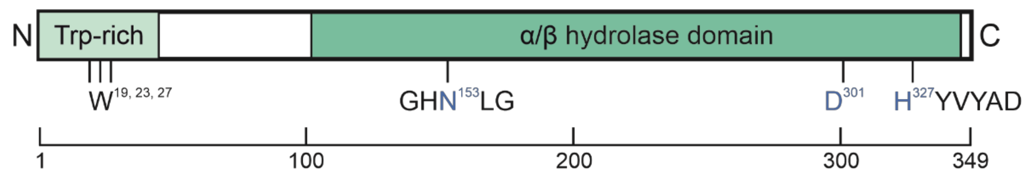 Metabolites 12 01015 g001