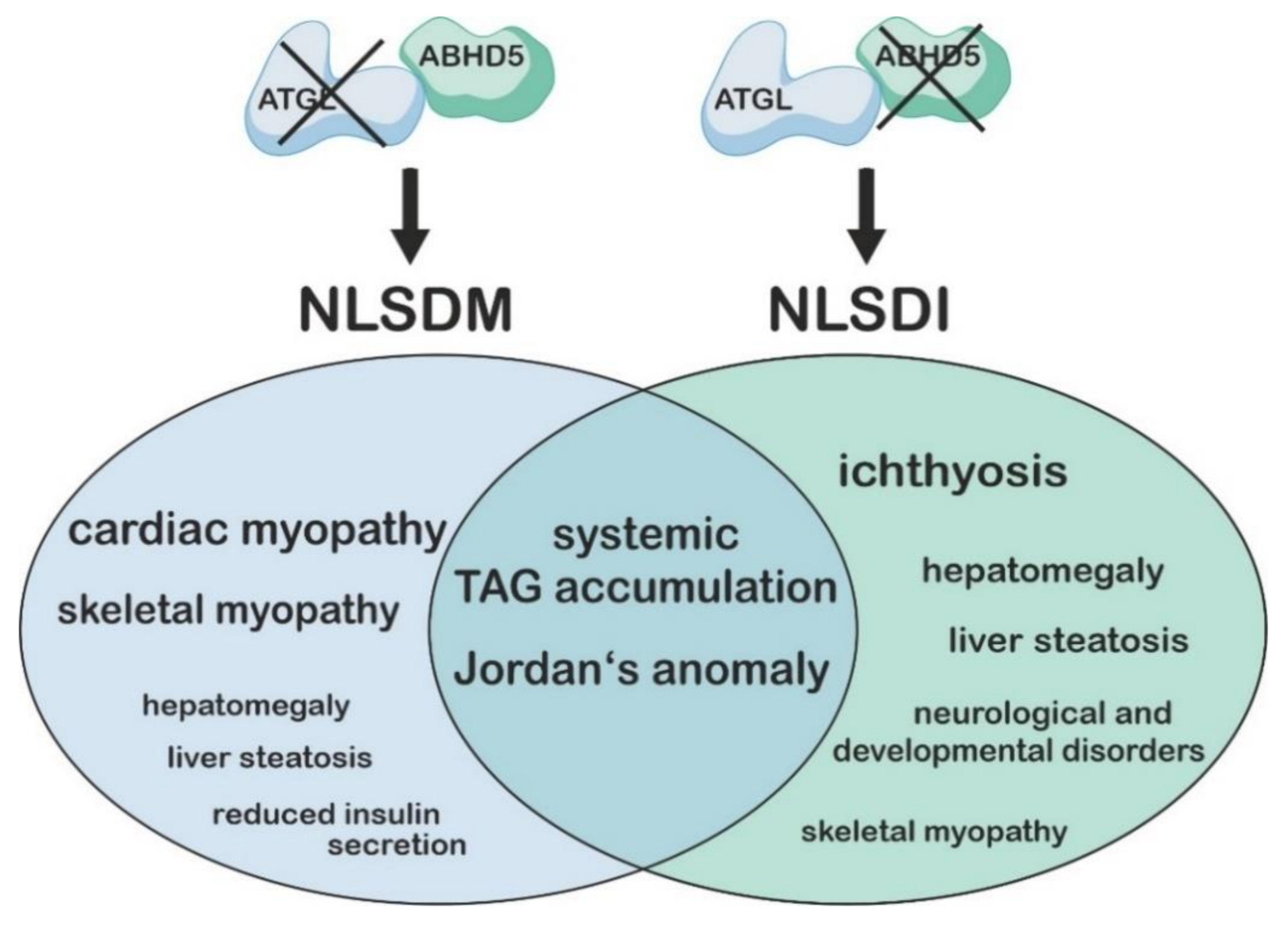 Metabolites 12 01015 g002