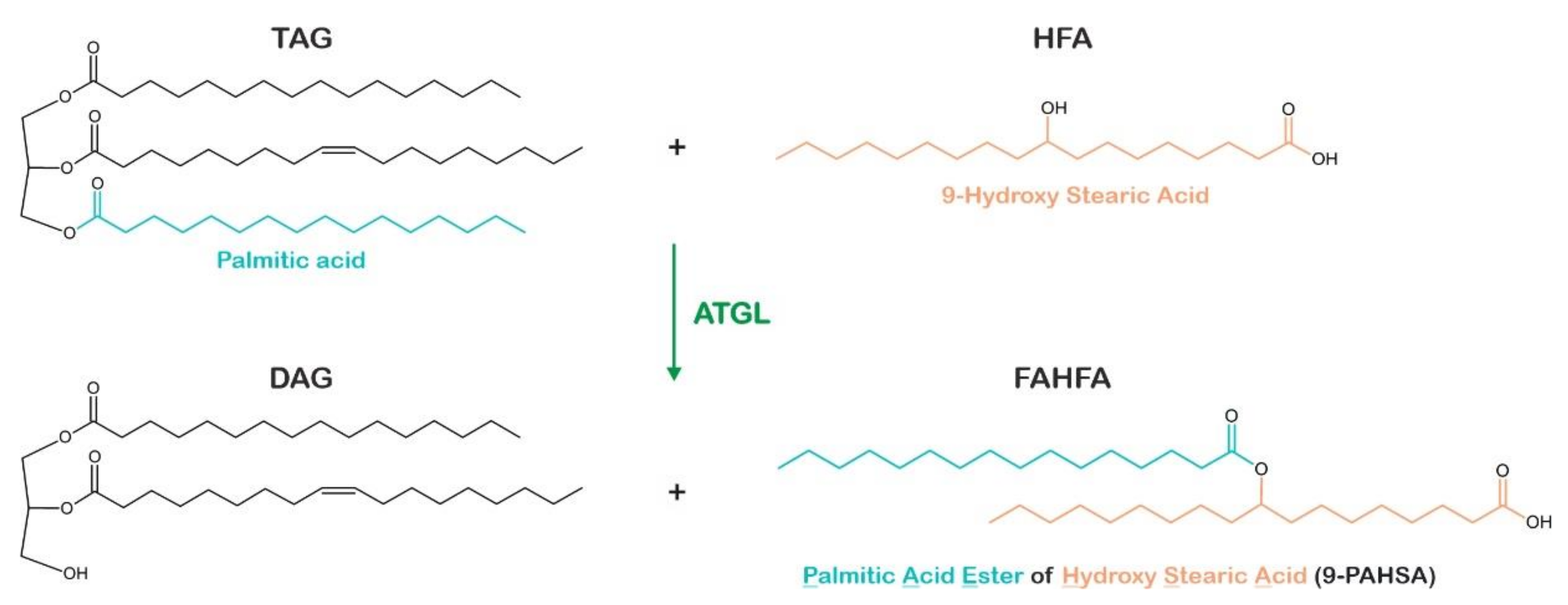 Metabolites 12 01015 g003