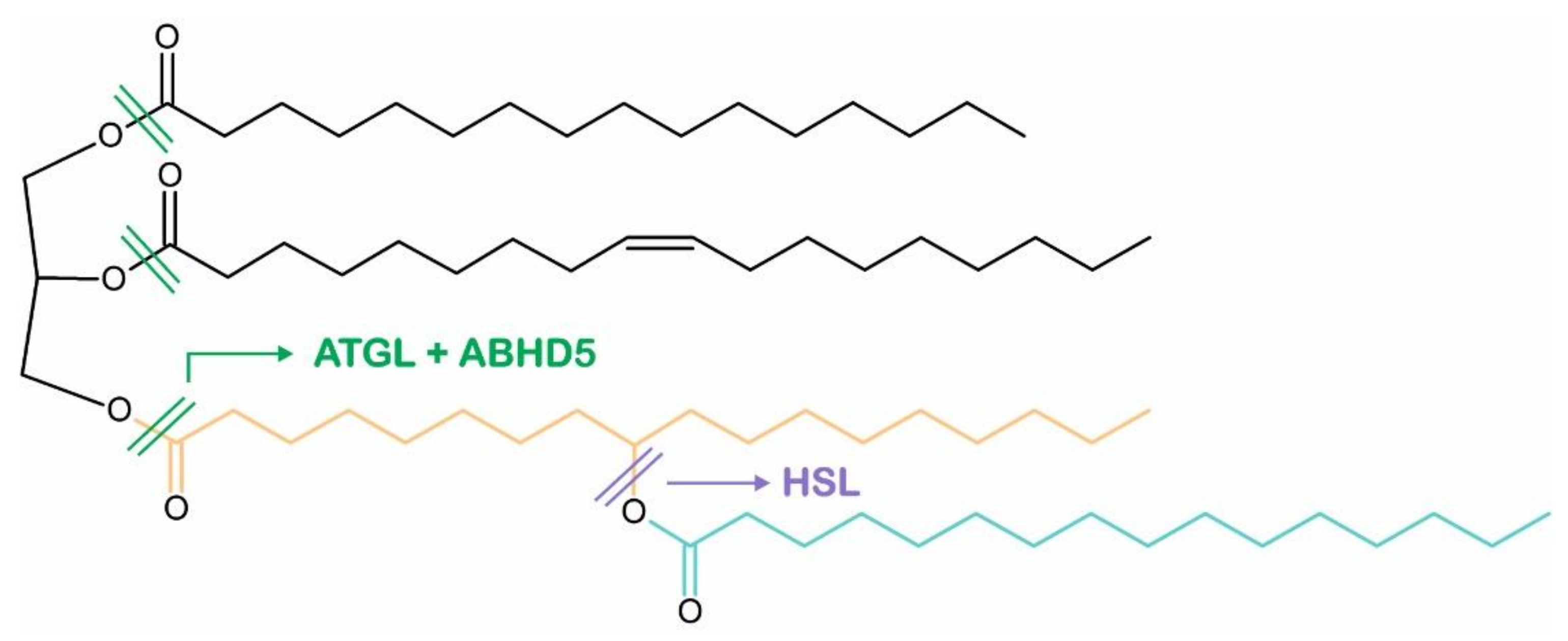 Metabolites 12 01015 g004