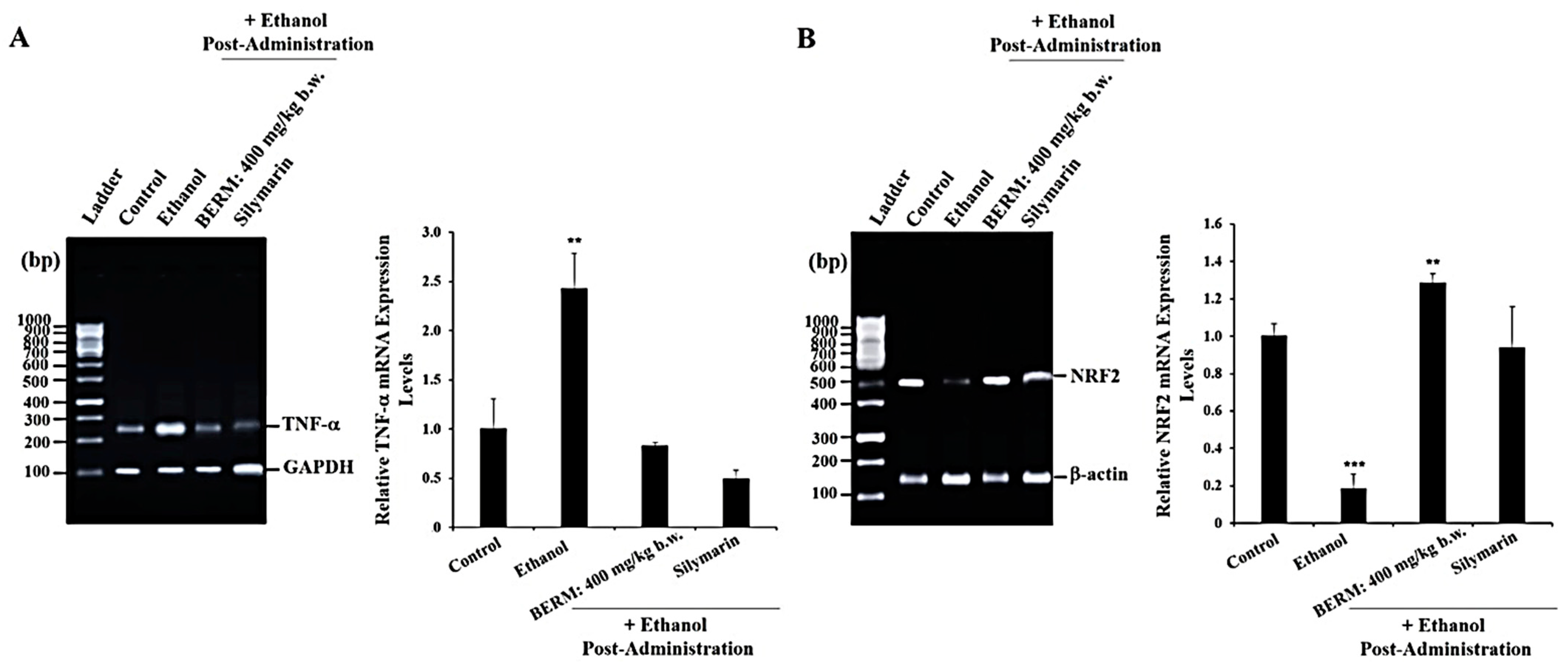 Metabolites 12 01021 g002