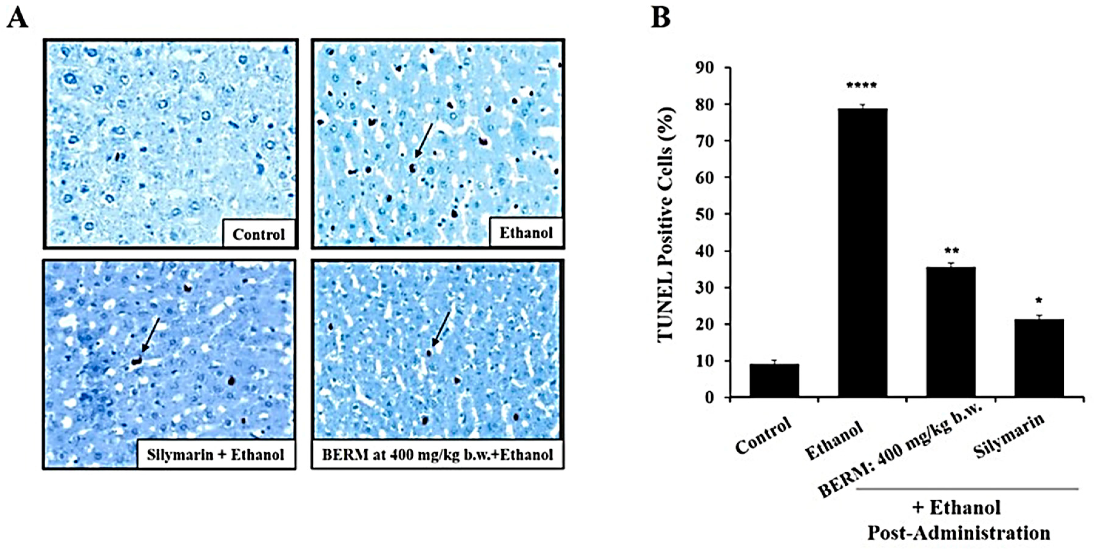 Metabolites 12 01021 g003