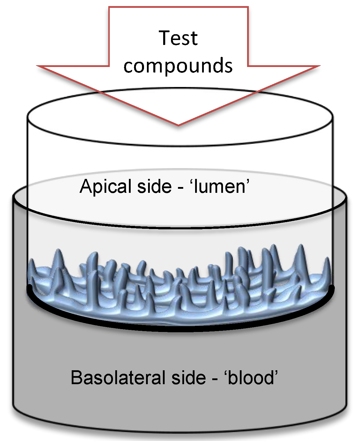 Metabolites 12 01027 g001