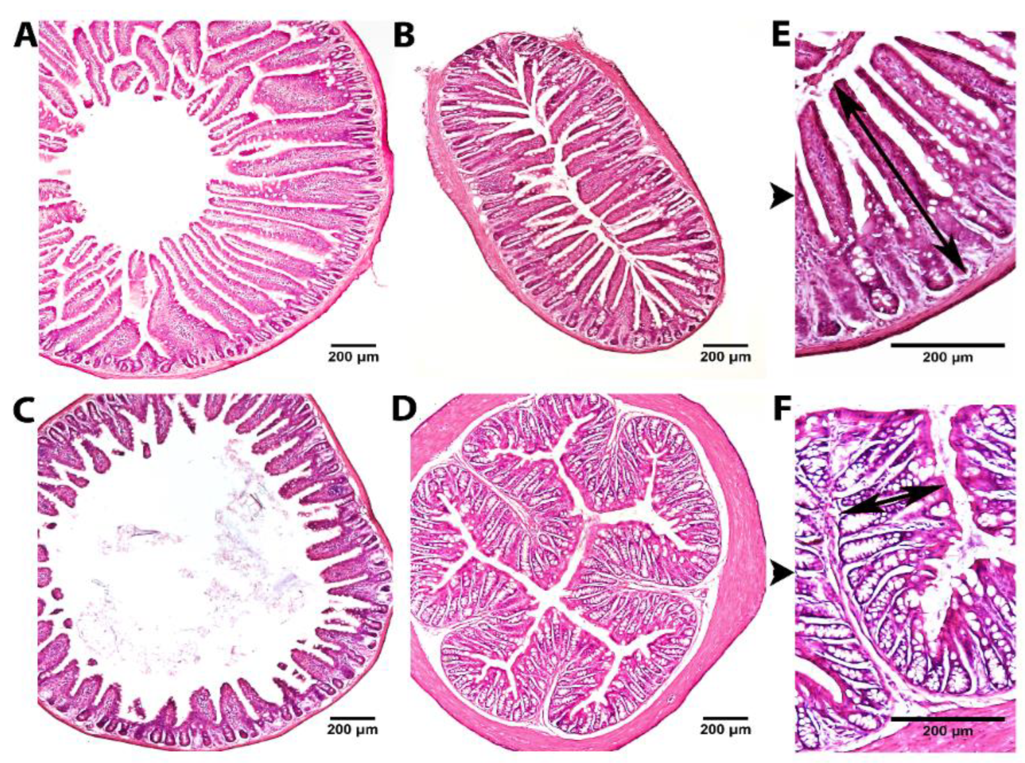 Metabolites 12 01027 g002