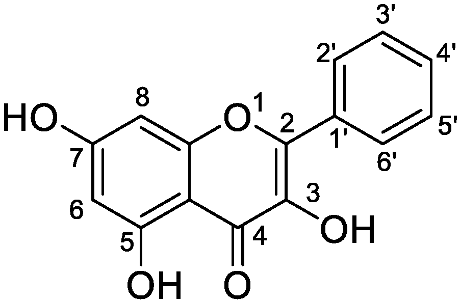 Metabolites 12 01032 g001