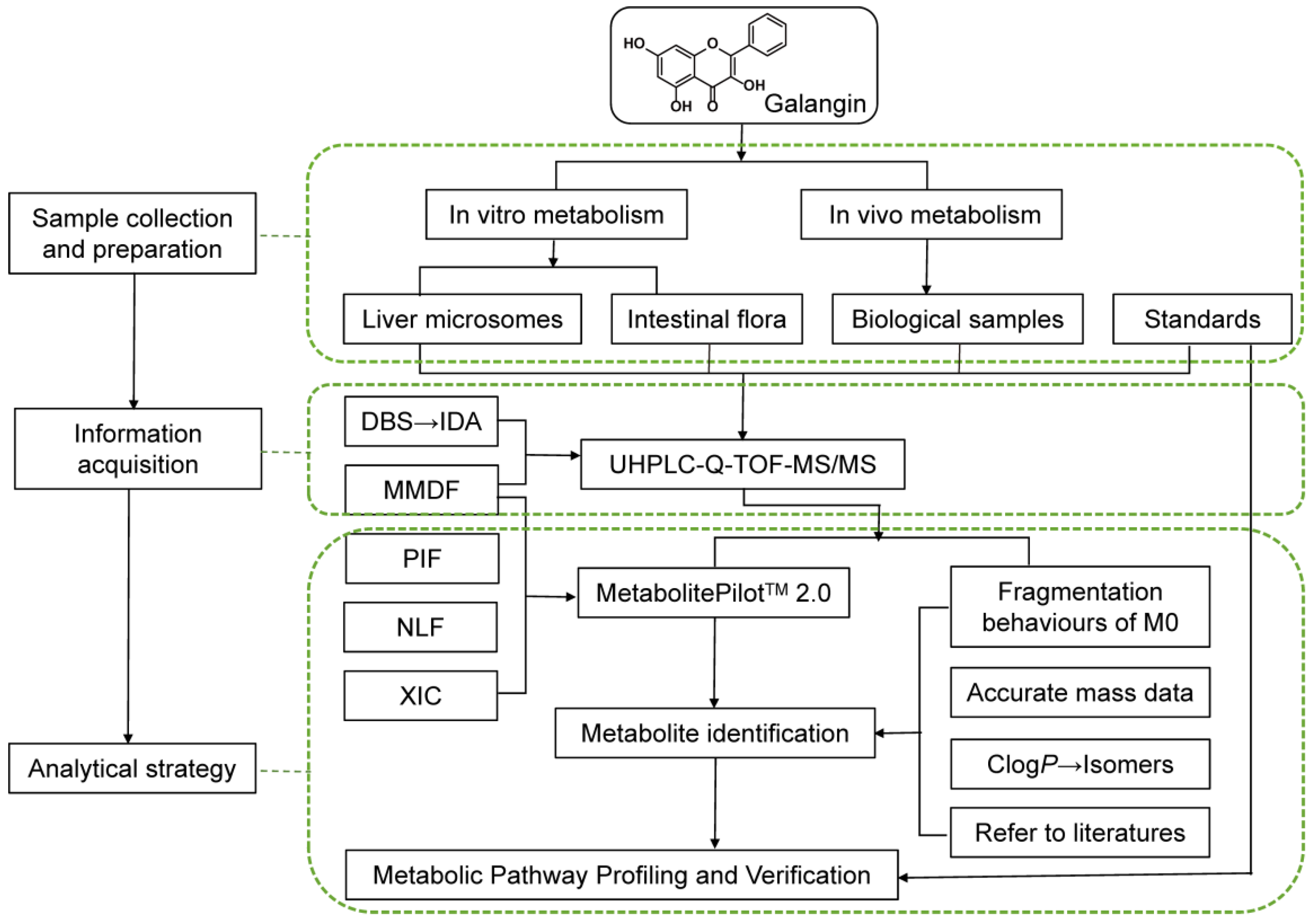 Metabolites 12 01032 g002