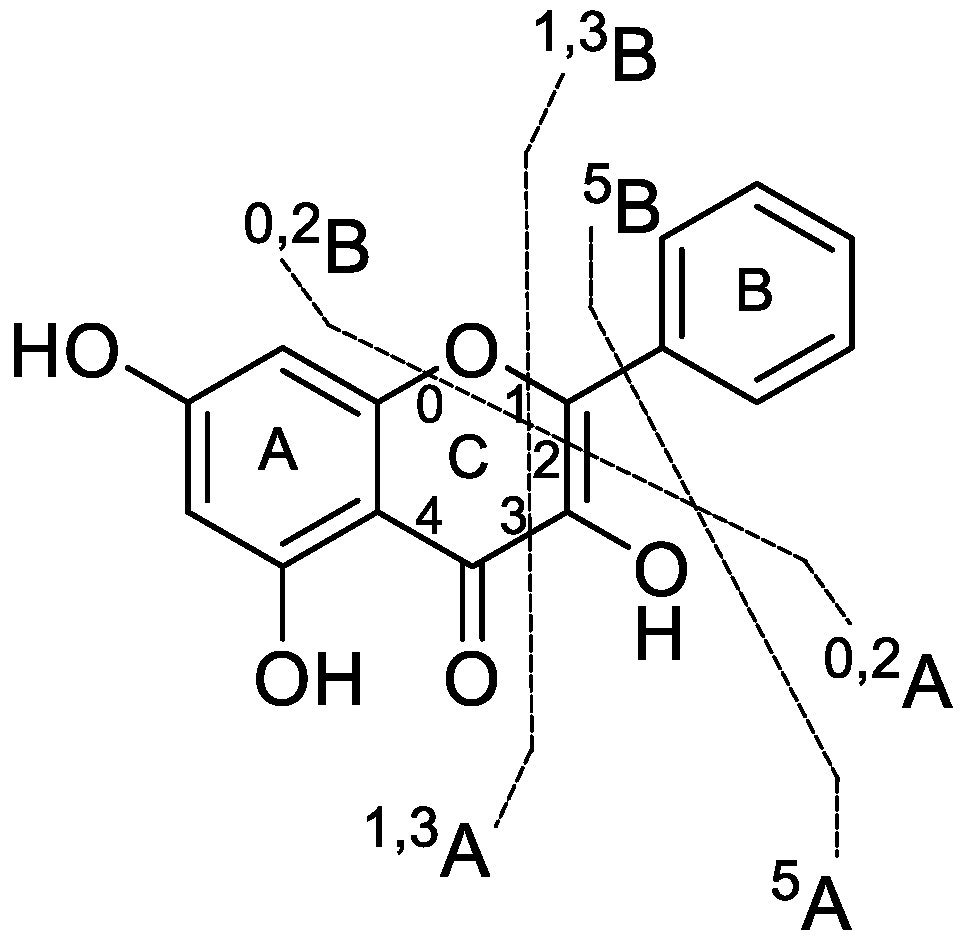 Metabolites 12 01032 g003