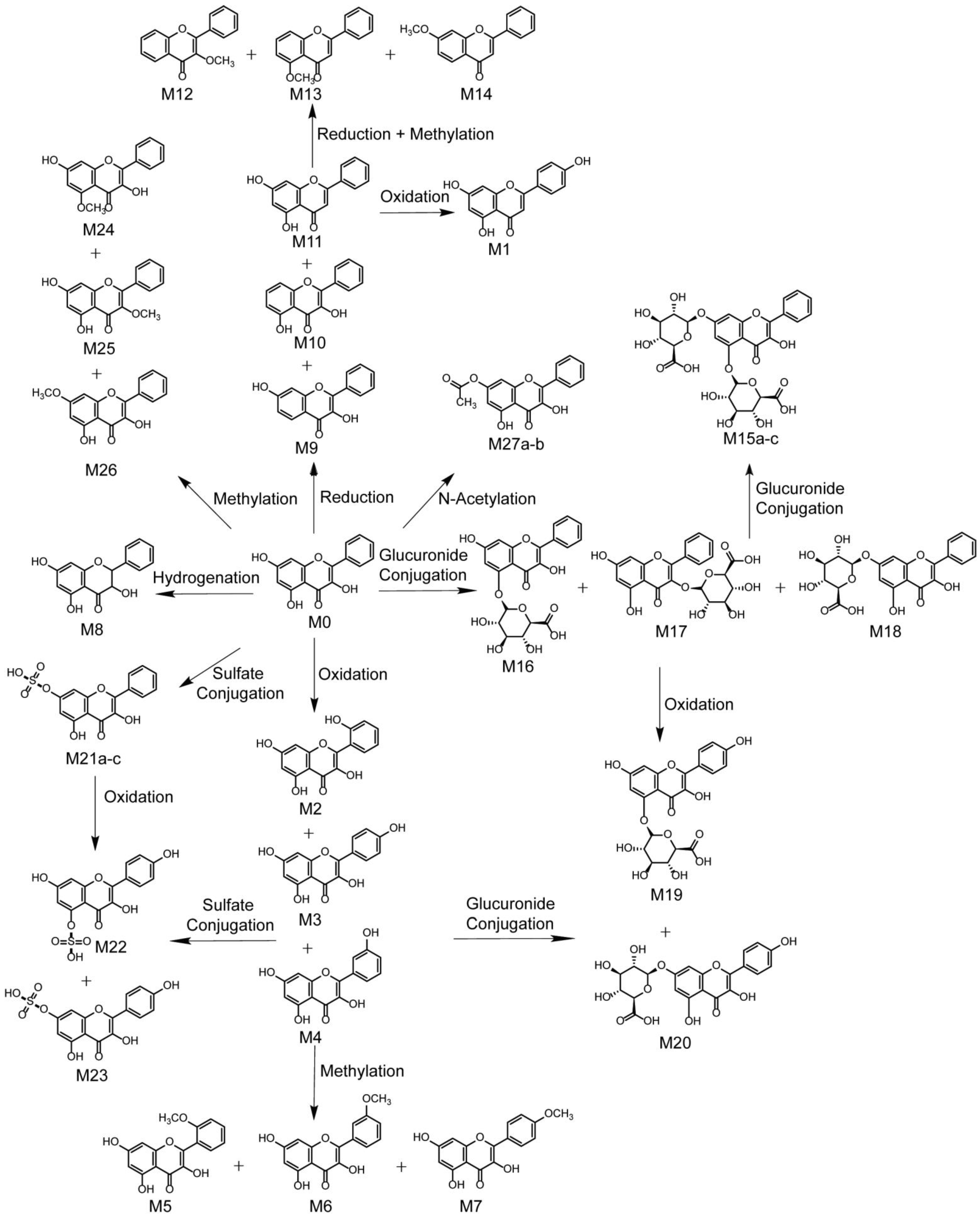 Metabolites 12 01032 g008