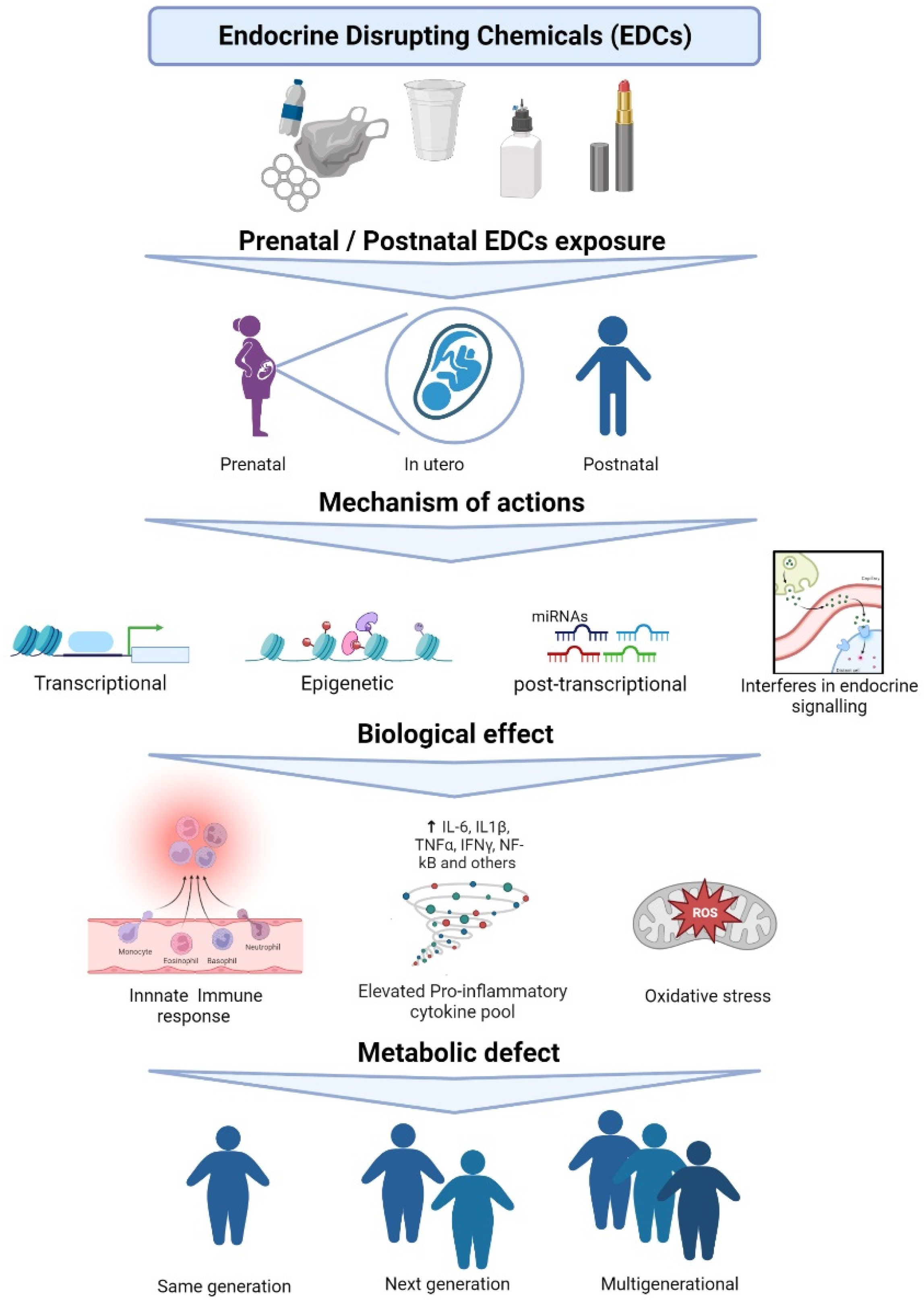 Metabolites 12 01034 g001