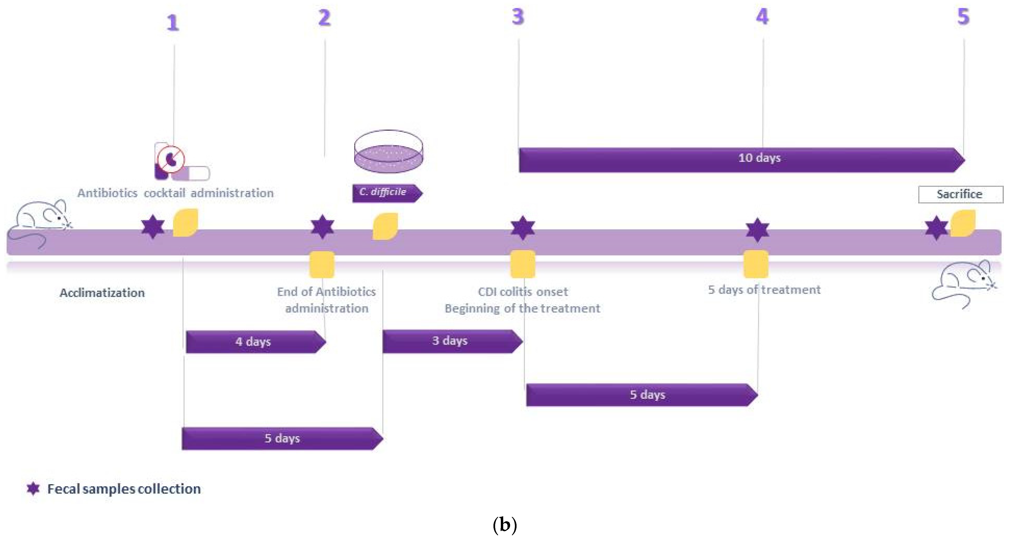 Metabolites 12 01039 g001b