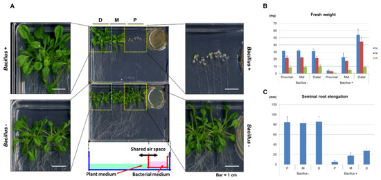 Metabolites 12 01043 g0a1