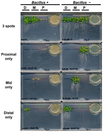 Metabolites 12 01043 g0a2