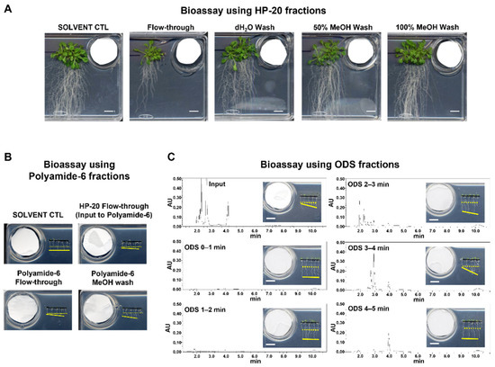 Metabolites 12 01043 g0a3