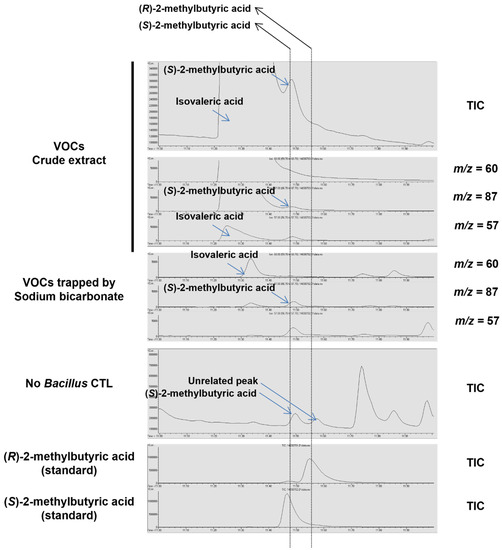 Metabolites 12 01043 g0a5