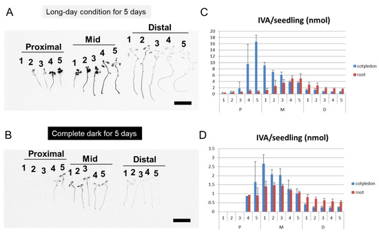 Metabolites 12 01043 g0a6