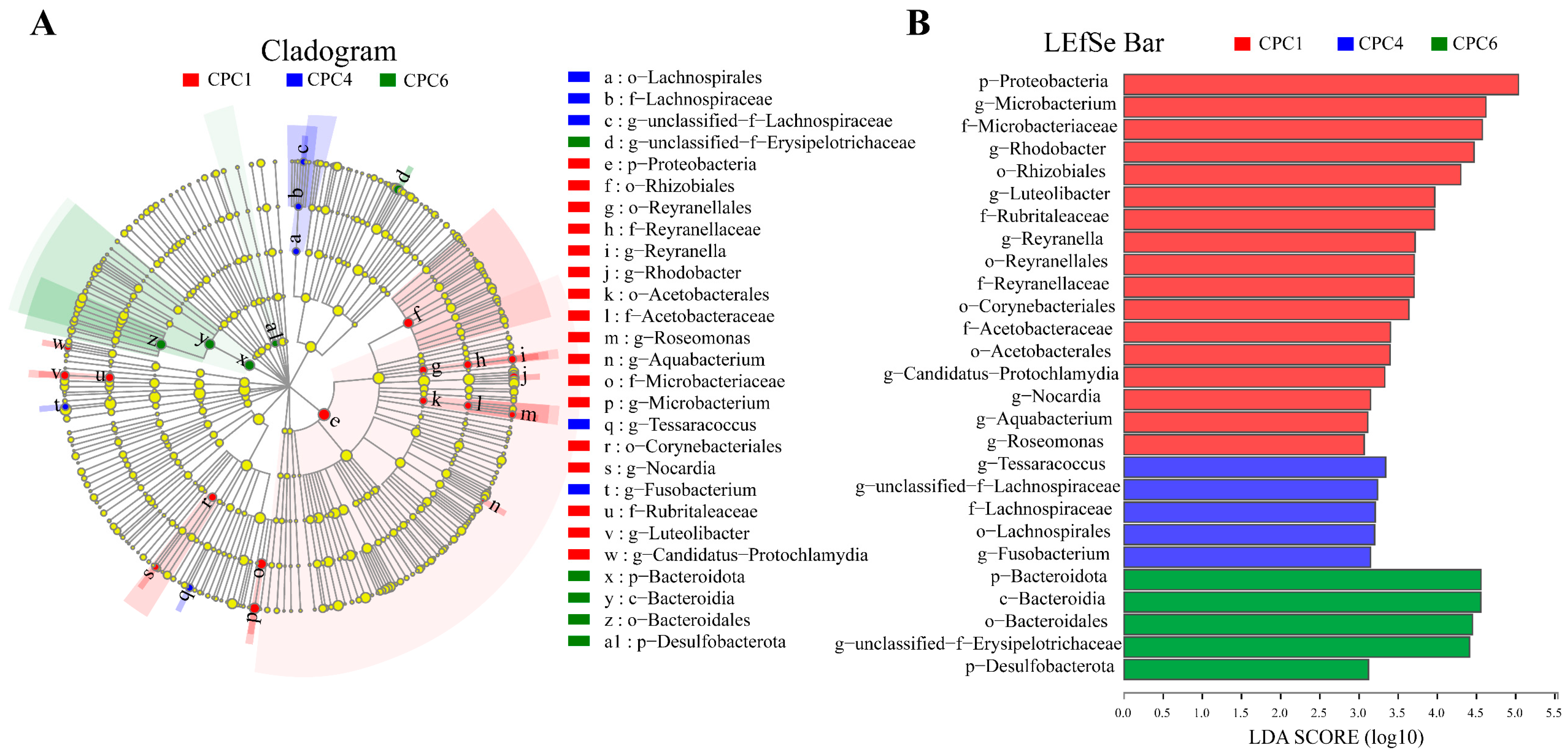 Metabolites 12 01046 g011