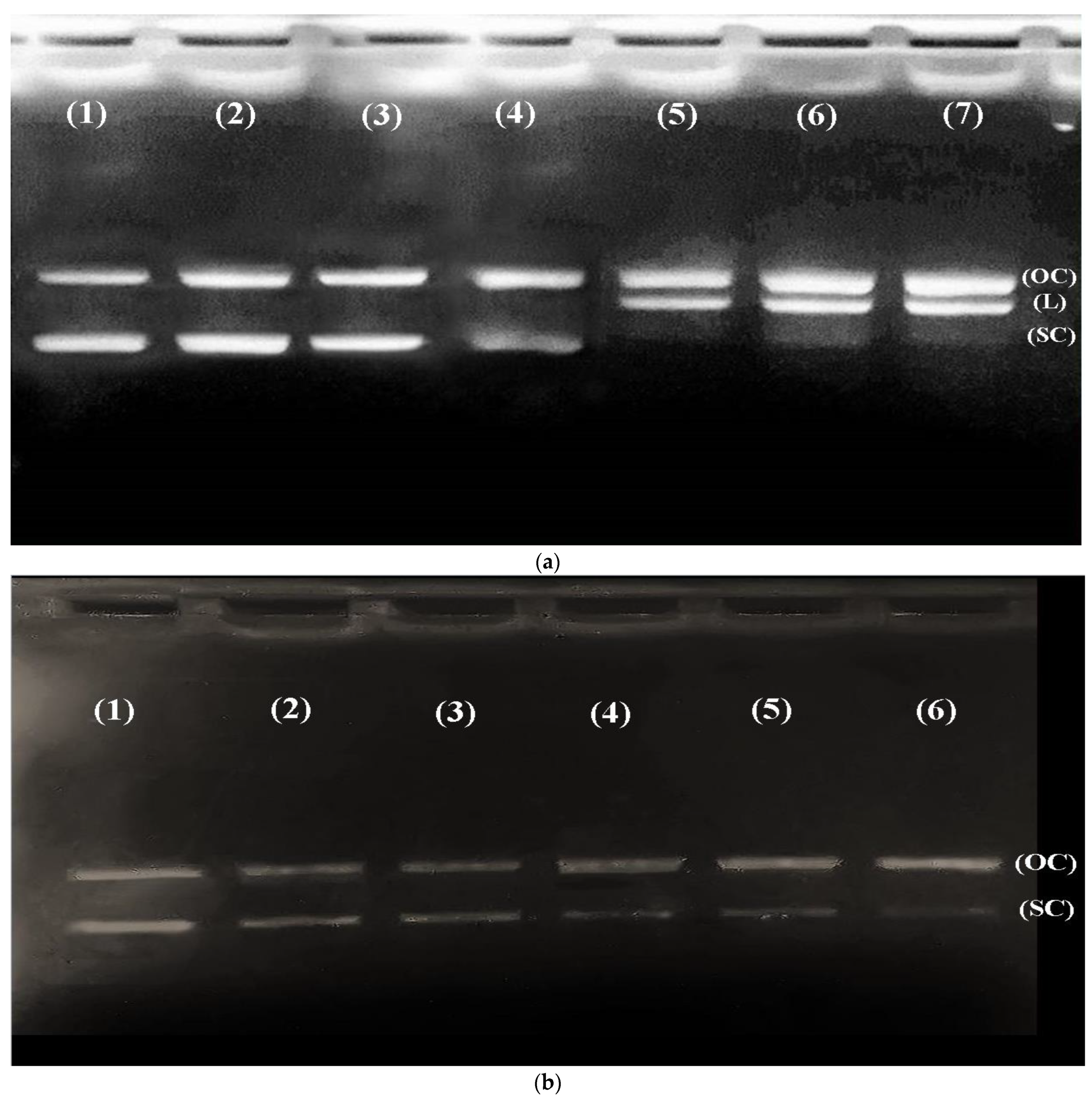 Metabolites 12 01059 g003a