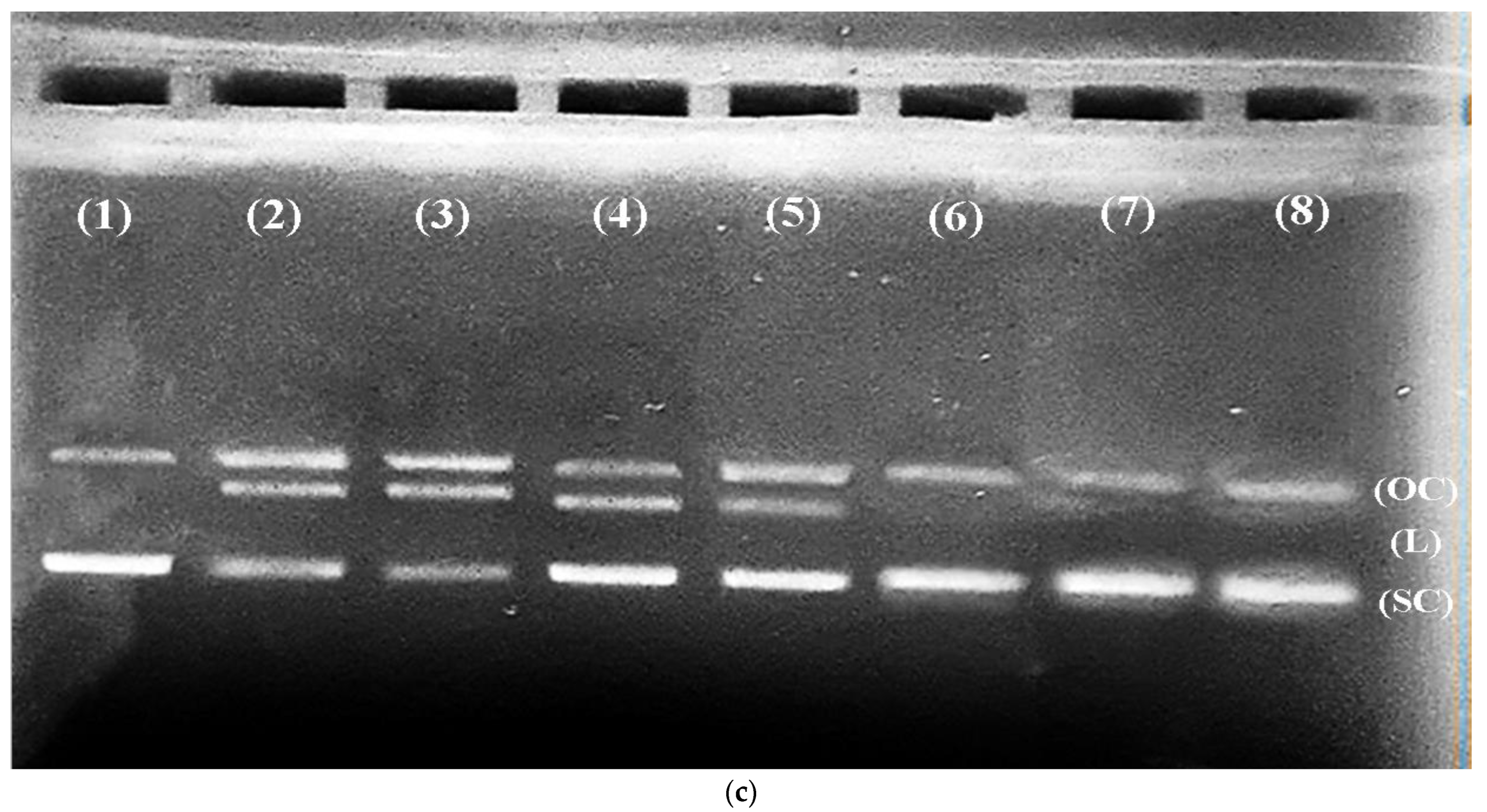Metabolites 12 01059 g003b