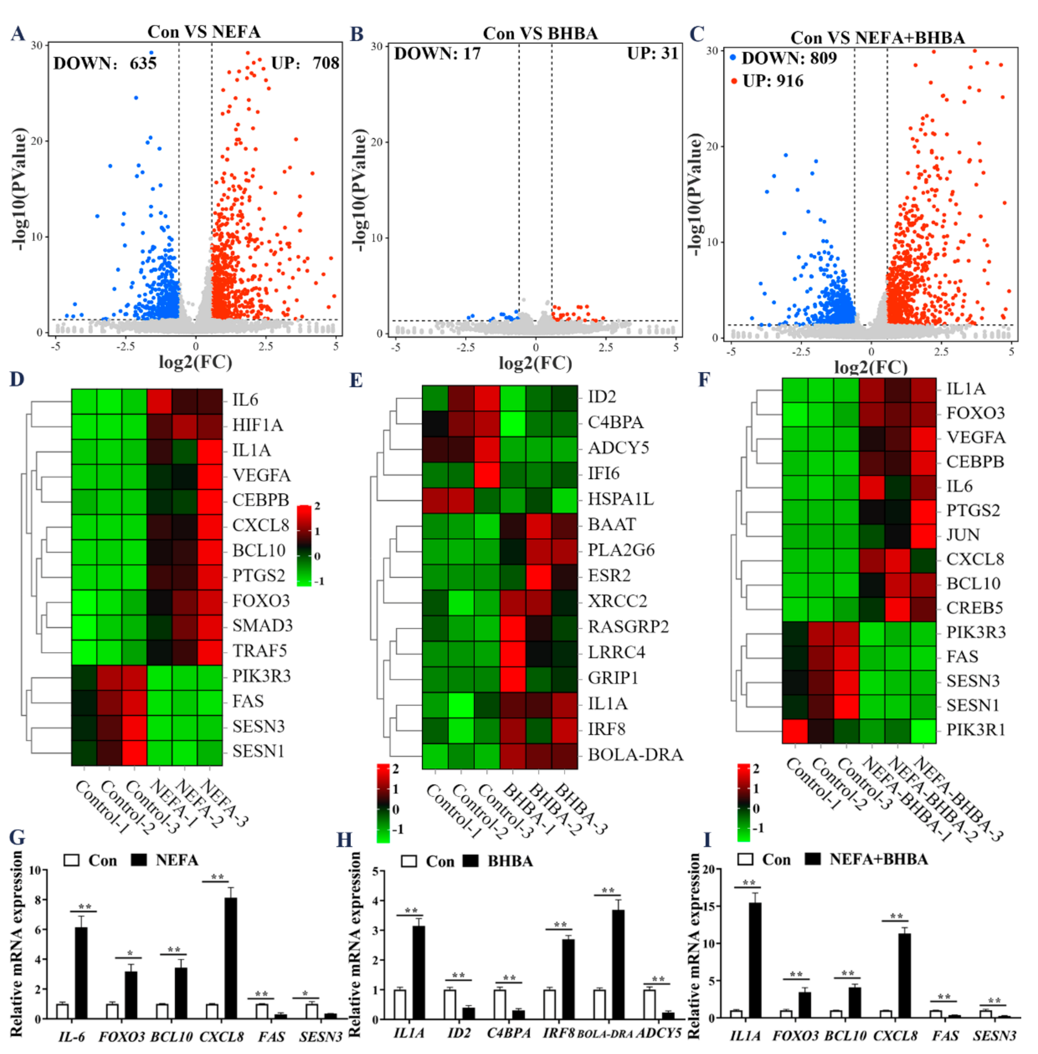 Metabolites 12 01060 g001