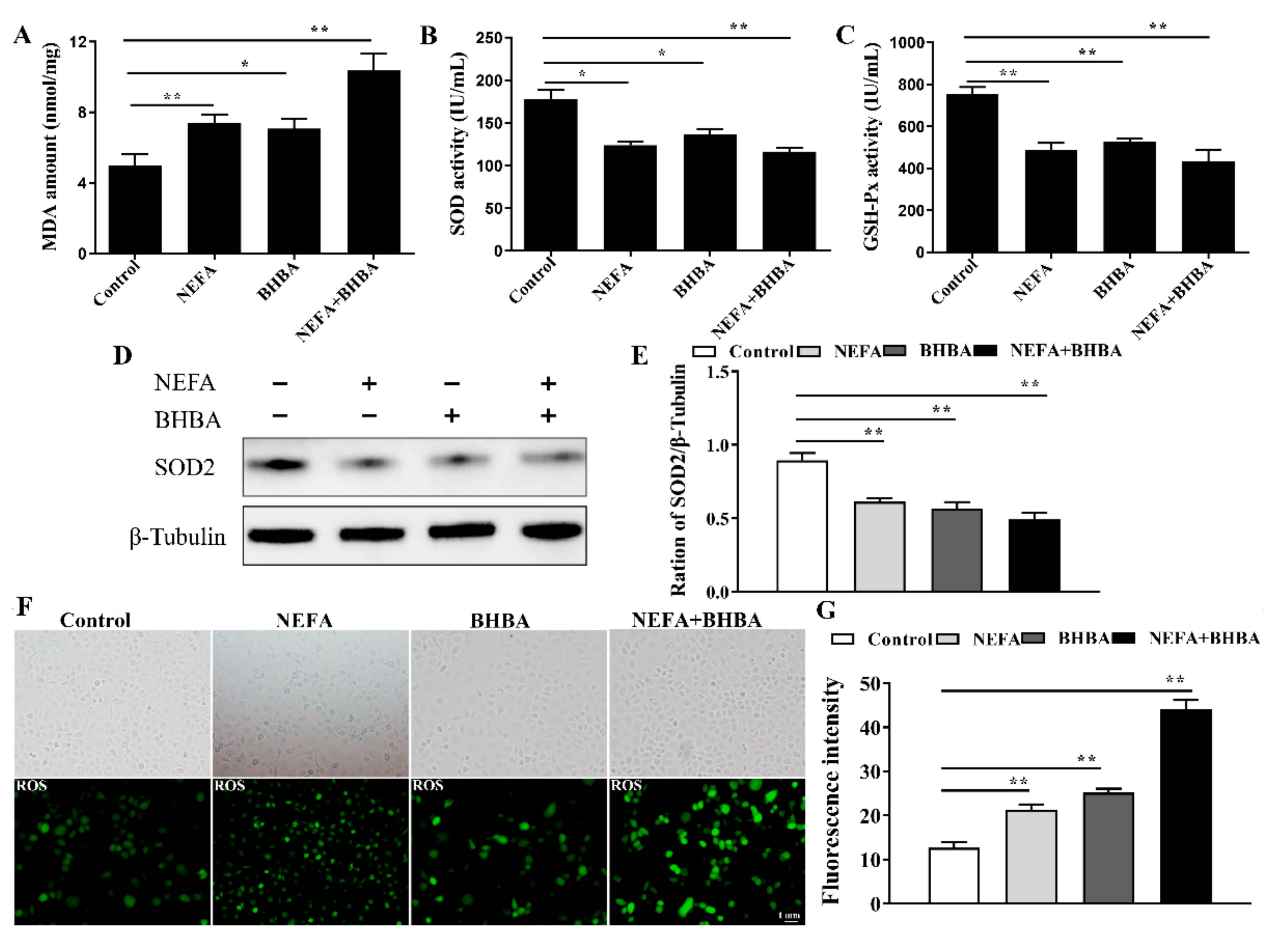 Metabolites 12 01060 g003