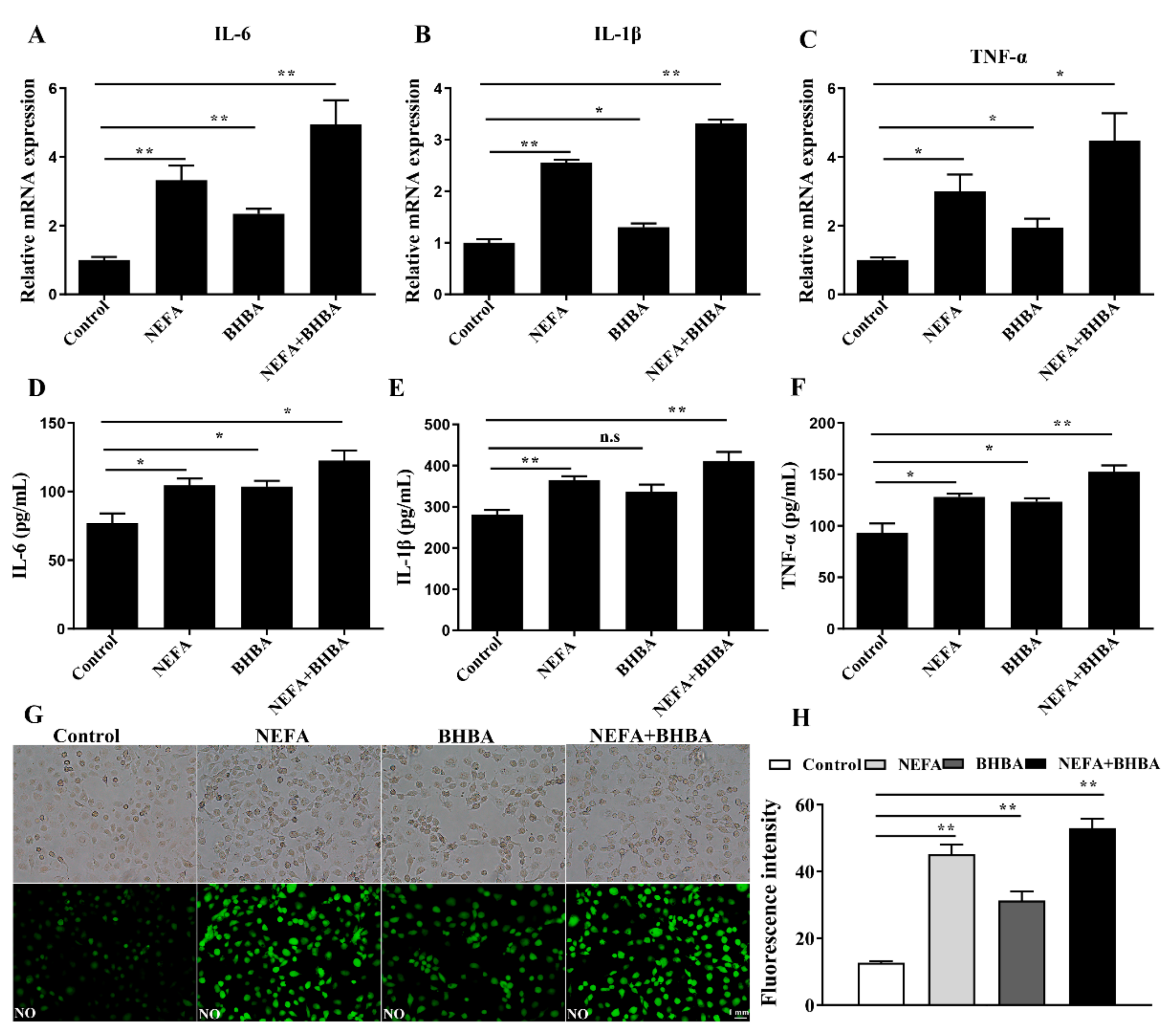Metabolites 12 01060 g004