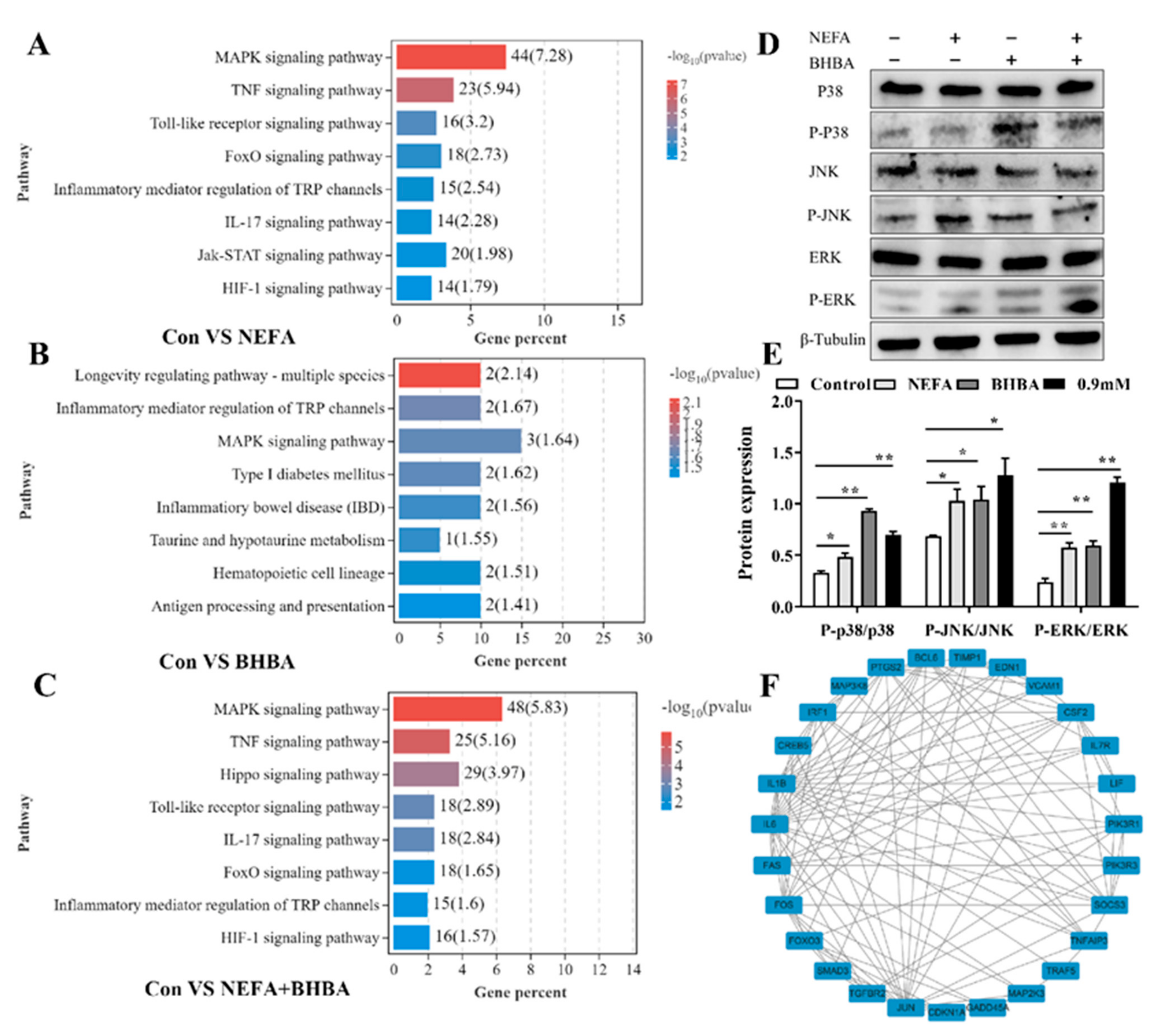 Metabolites 12 01060 g005