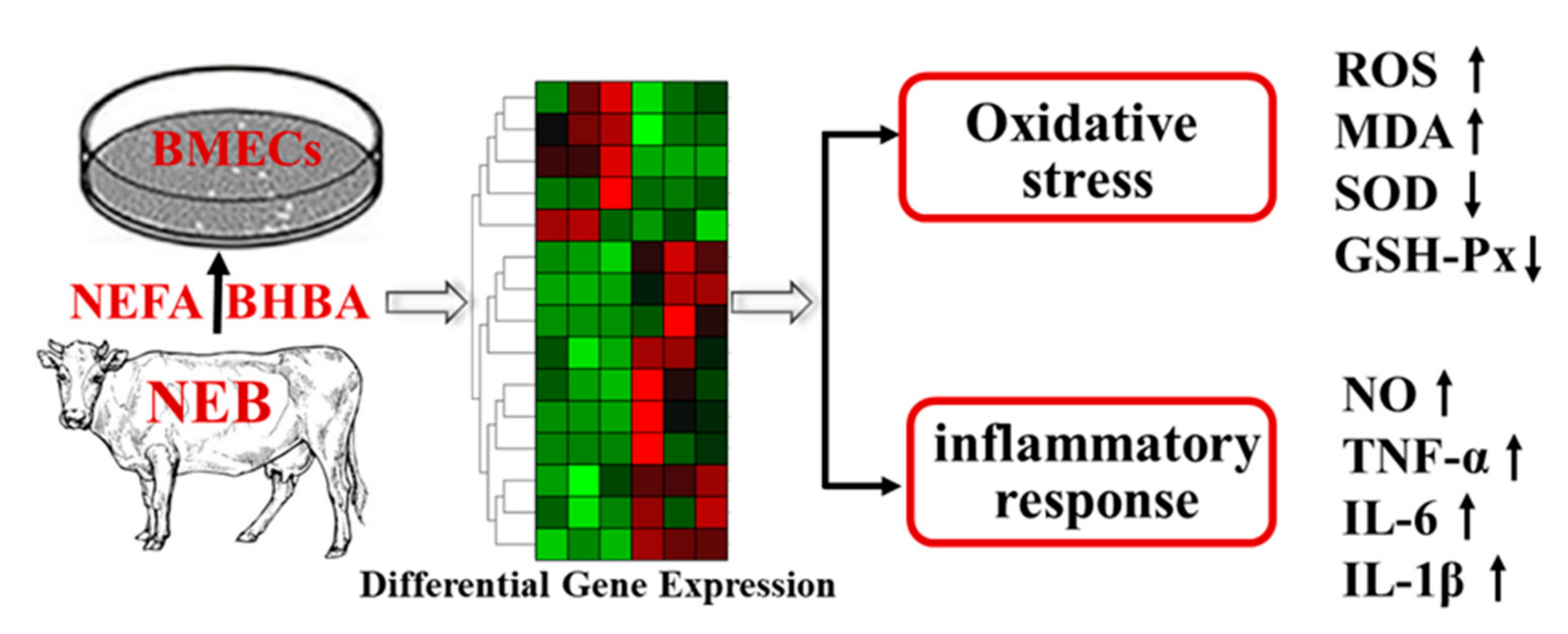 Metabolites 12 01060 g006