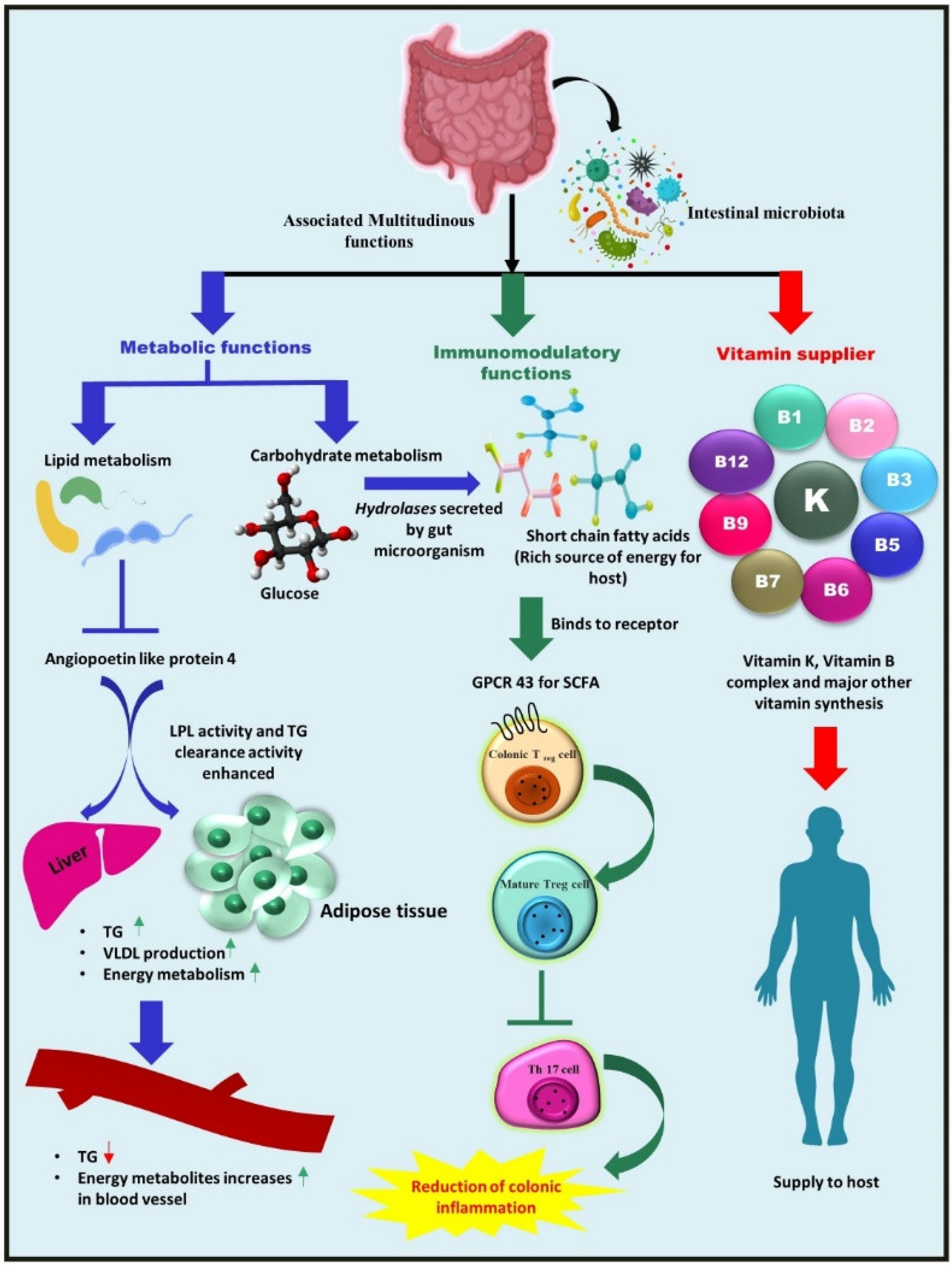 Metabolites 12 01064 g001