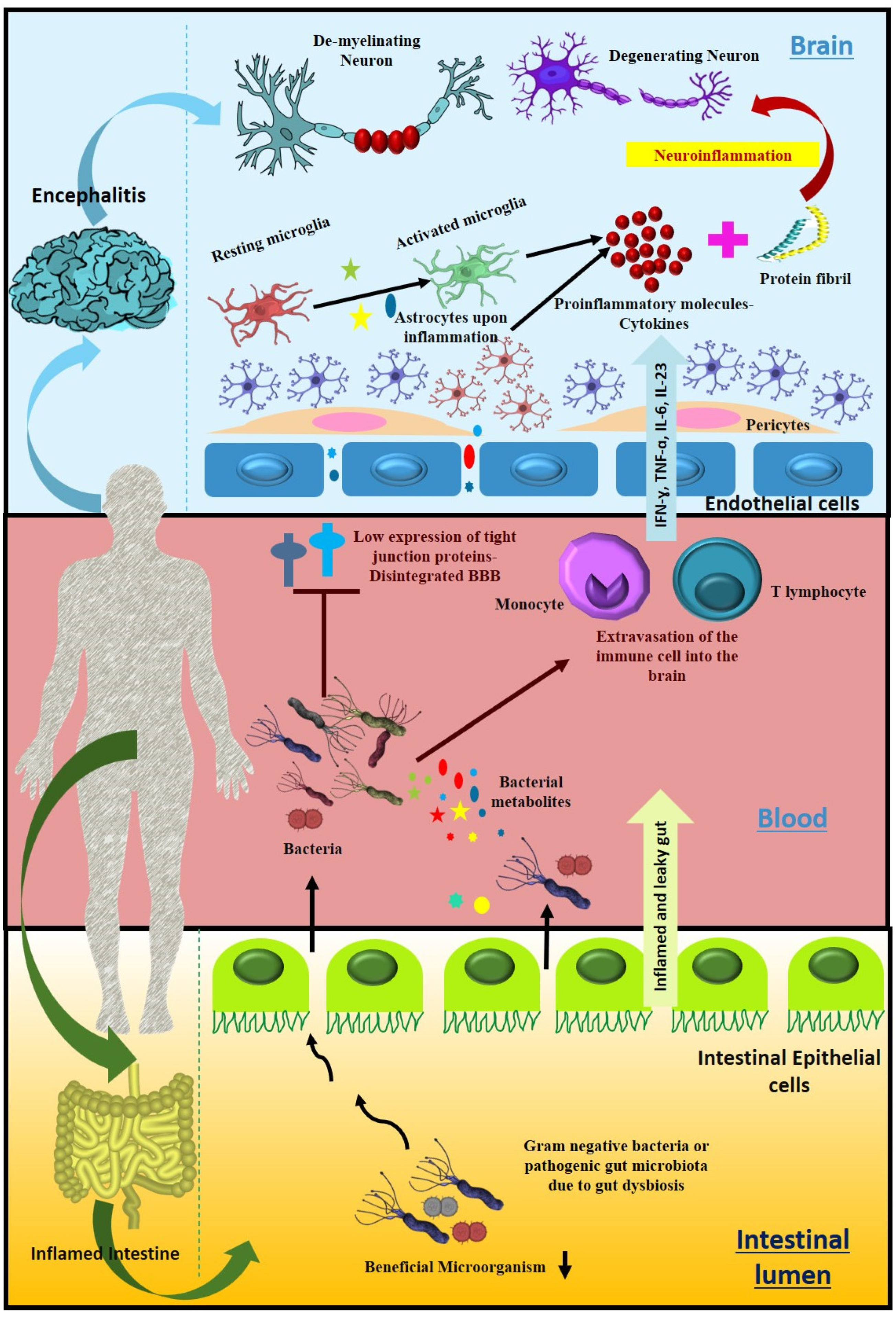 Metabolites 12 01064 g004