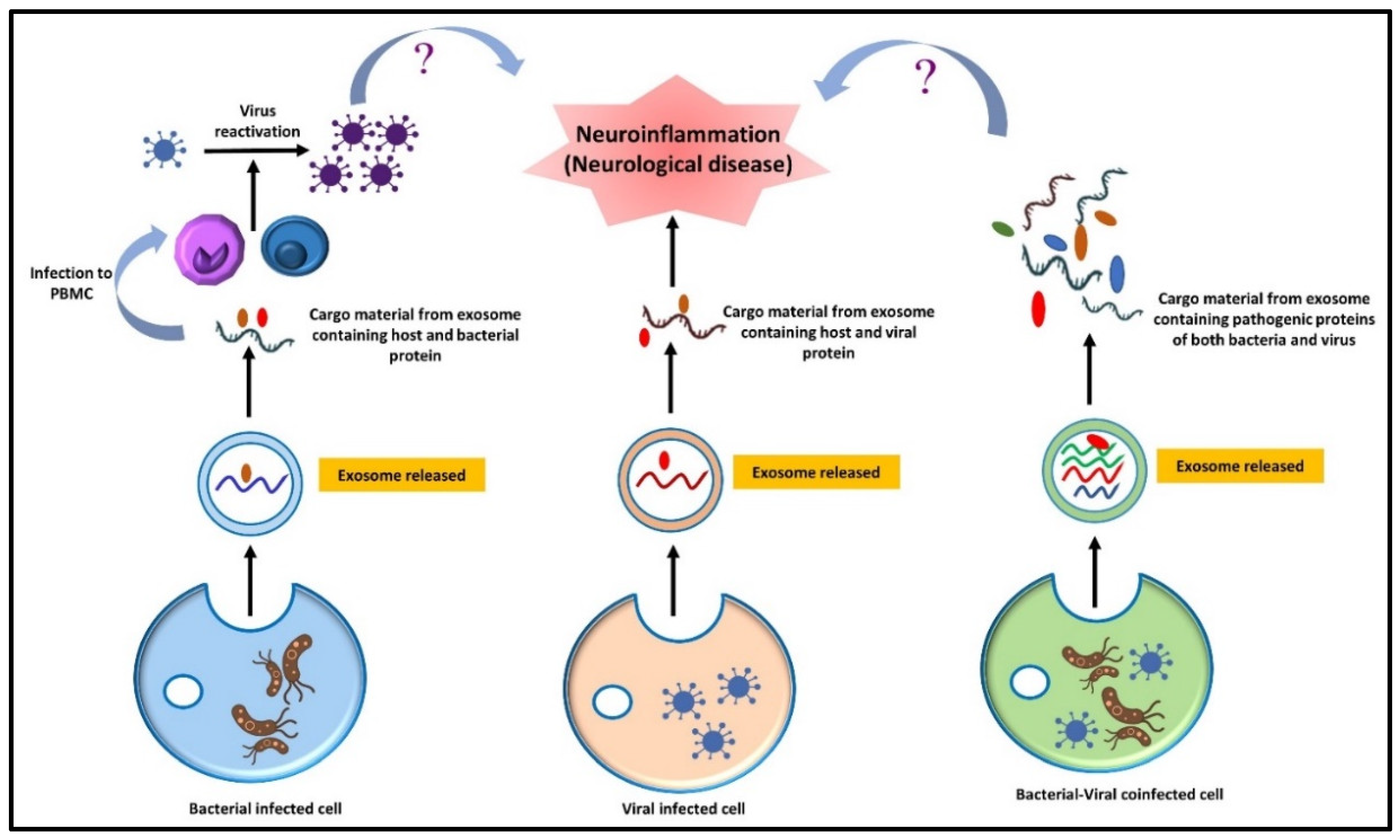 Metabolites 12 01064 g006