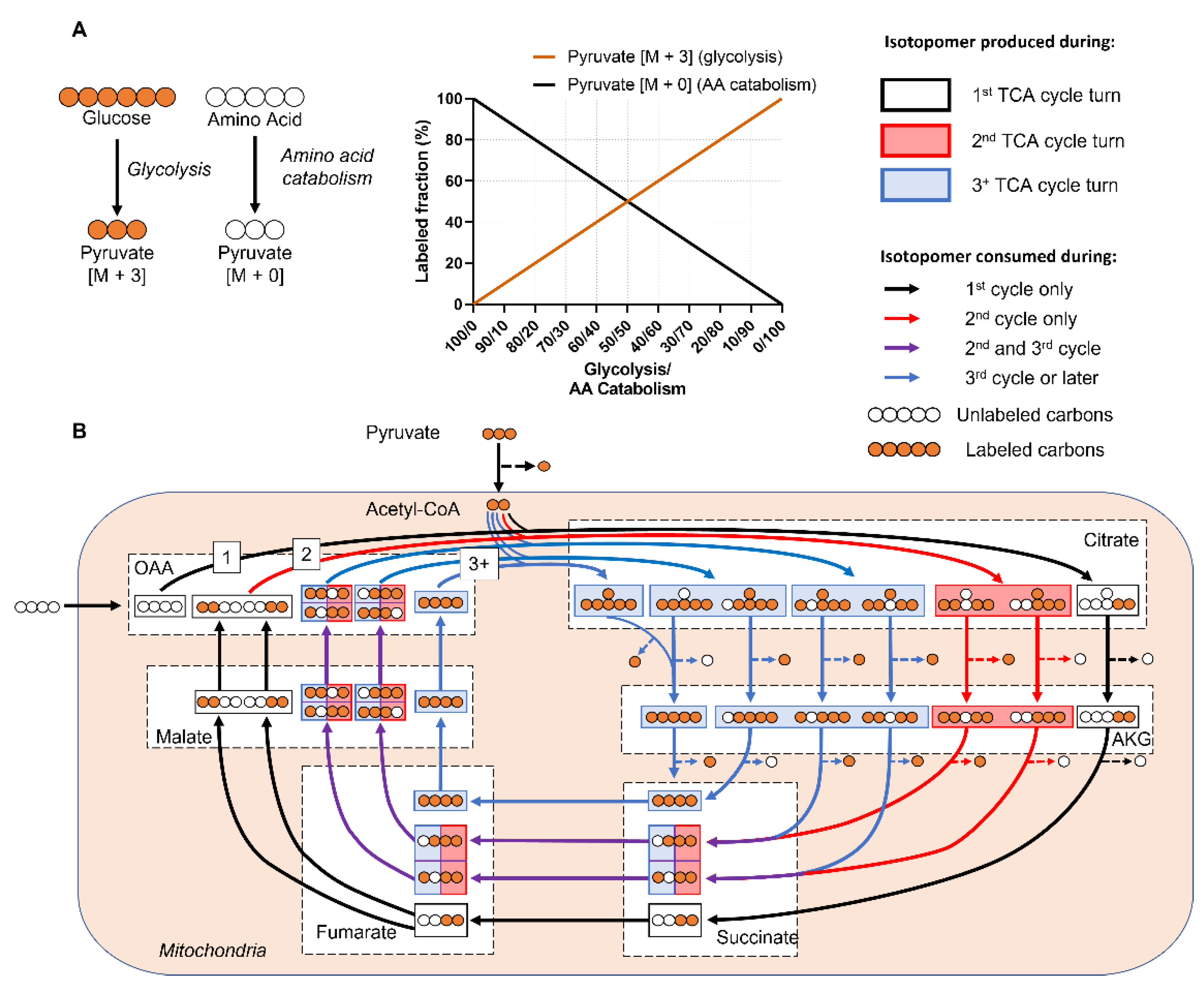 Metabolites 12 01066 g001