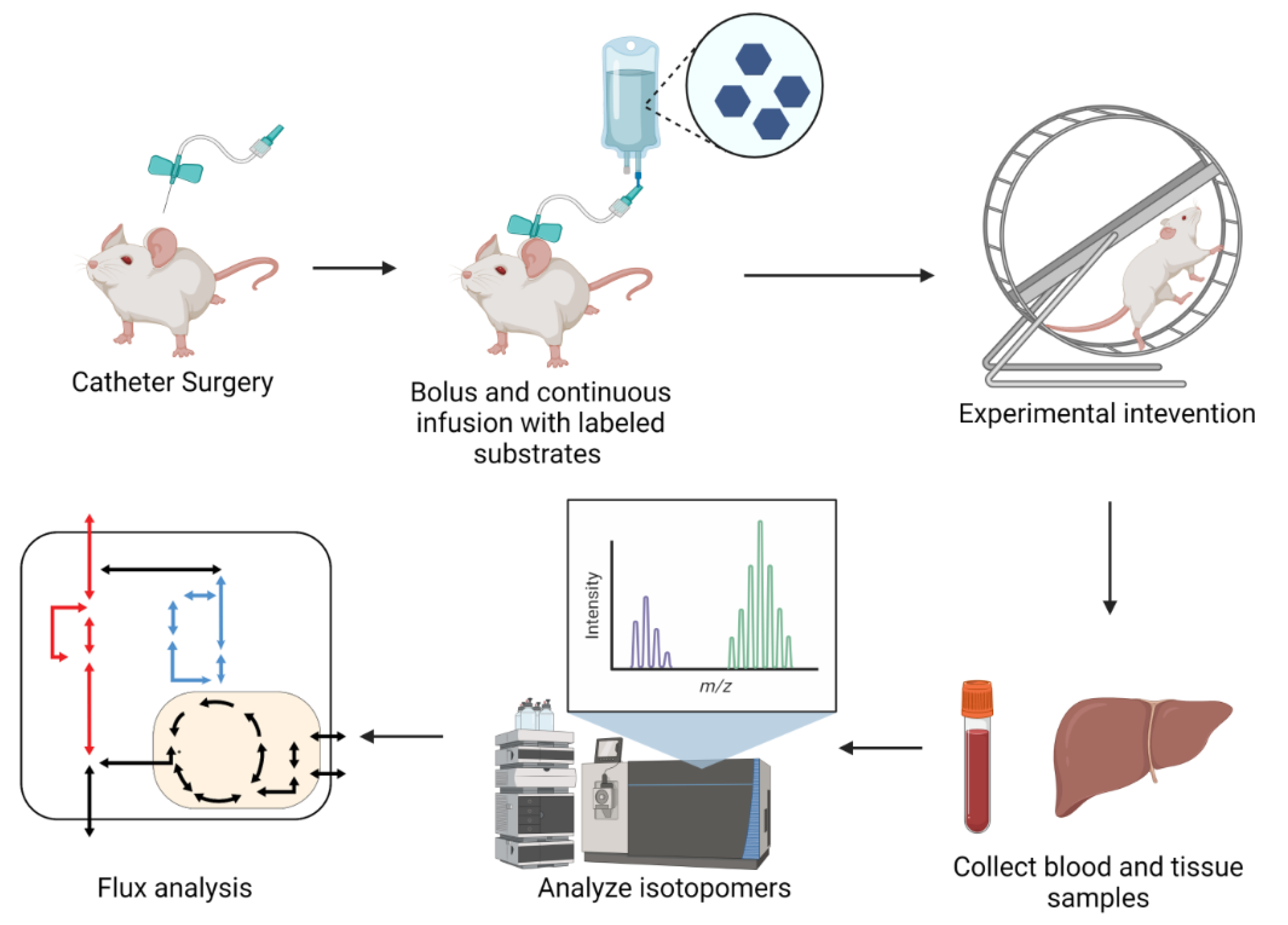 Metabolites 12 01066 g005