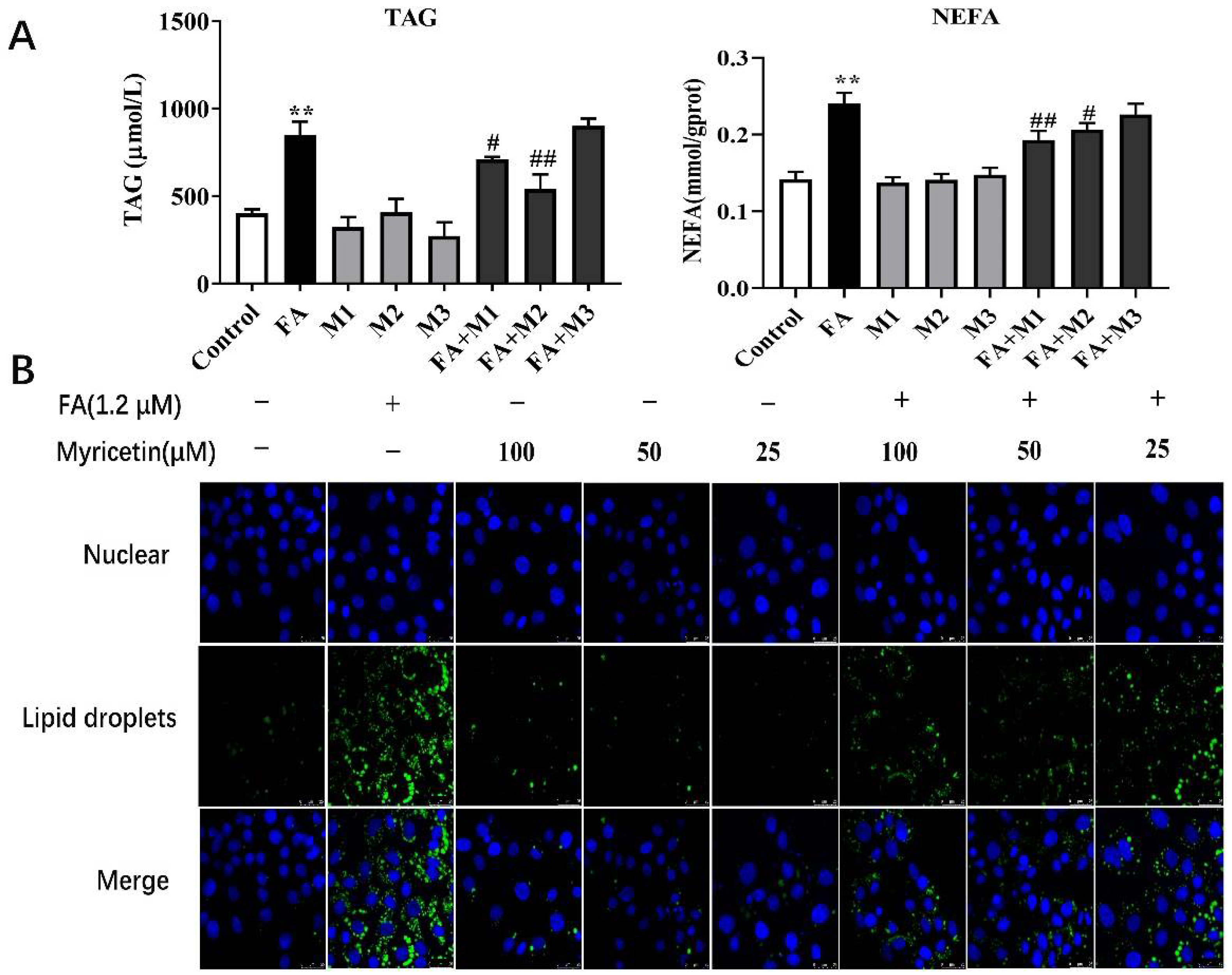 Metabolites 12 01071 g001 Metabolites 12 01071 g001