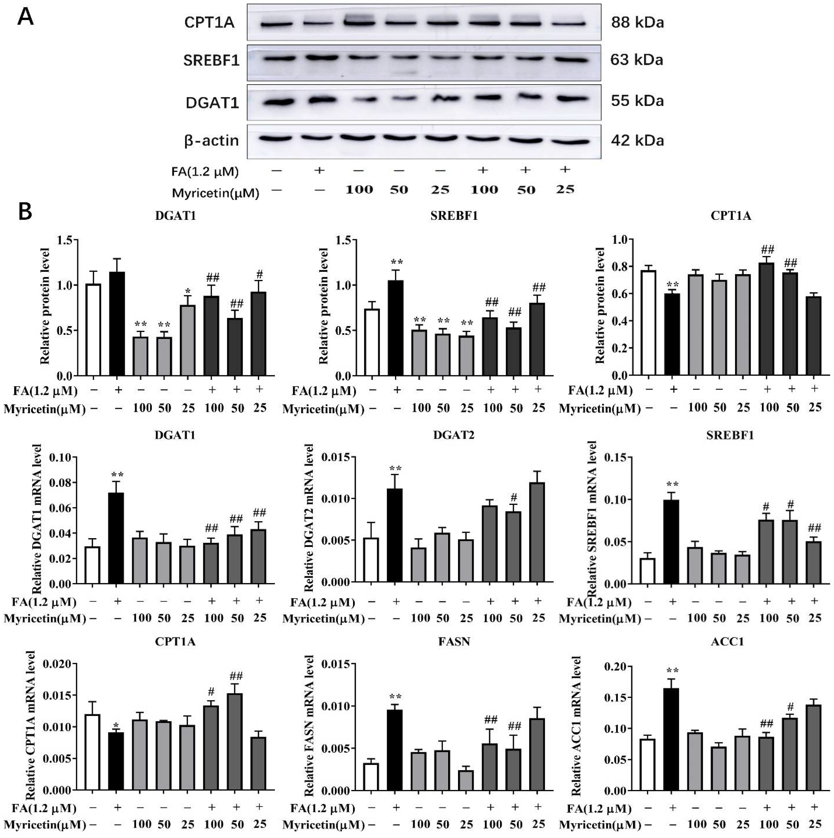 Metabolites 12 01071 g002 Metabolites 12 01071 g002