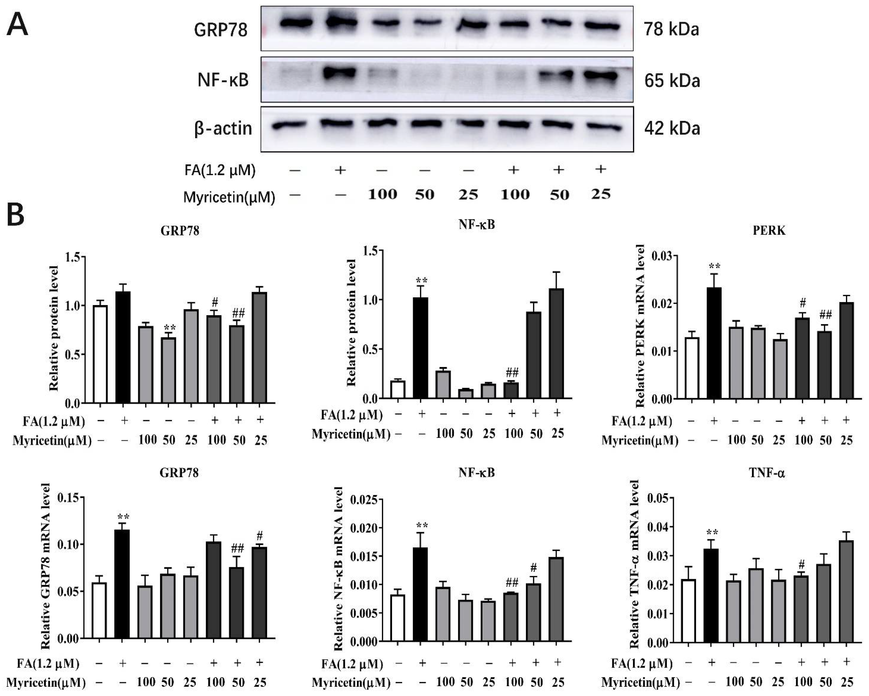 Metabolites 12 01071 g004 Metabolites 12 01071 g004