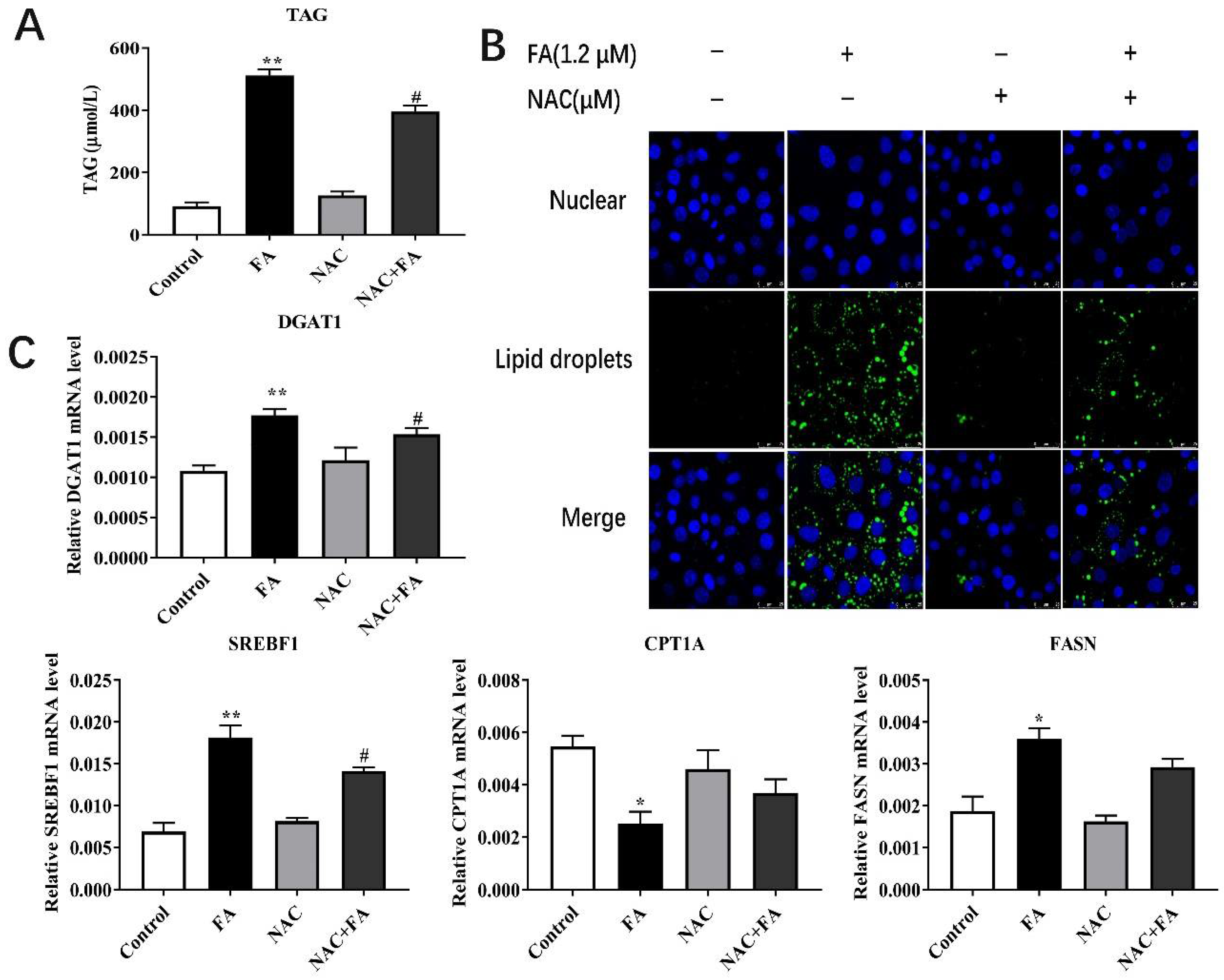 Metabolites 12 01071 g005 Metabolites 12 01071 g005