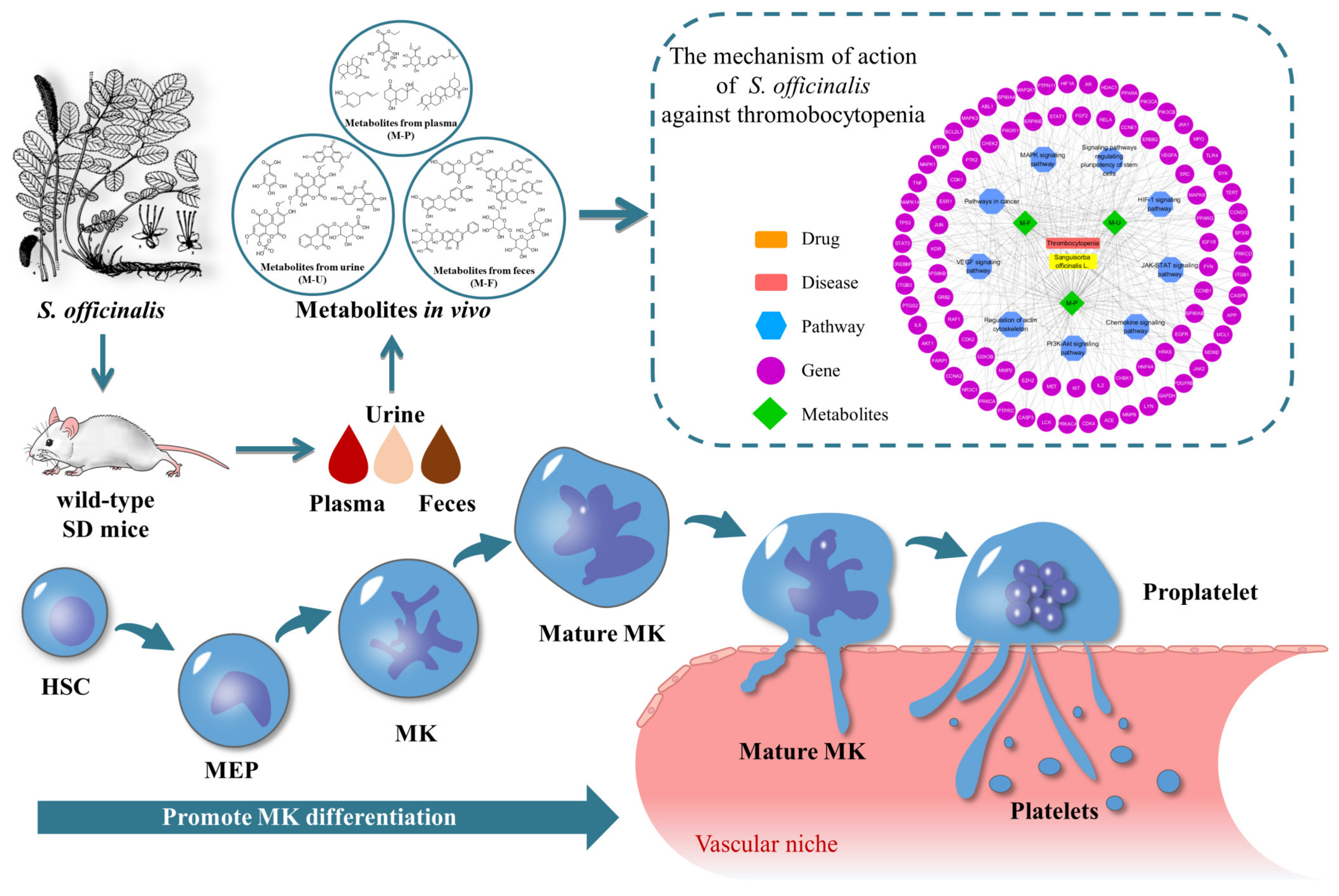 Metabolites 12 01074 g006
