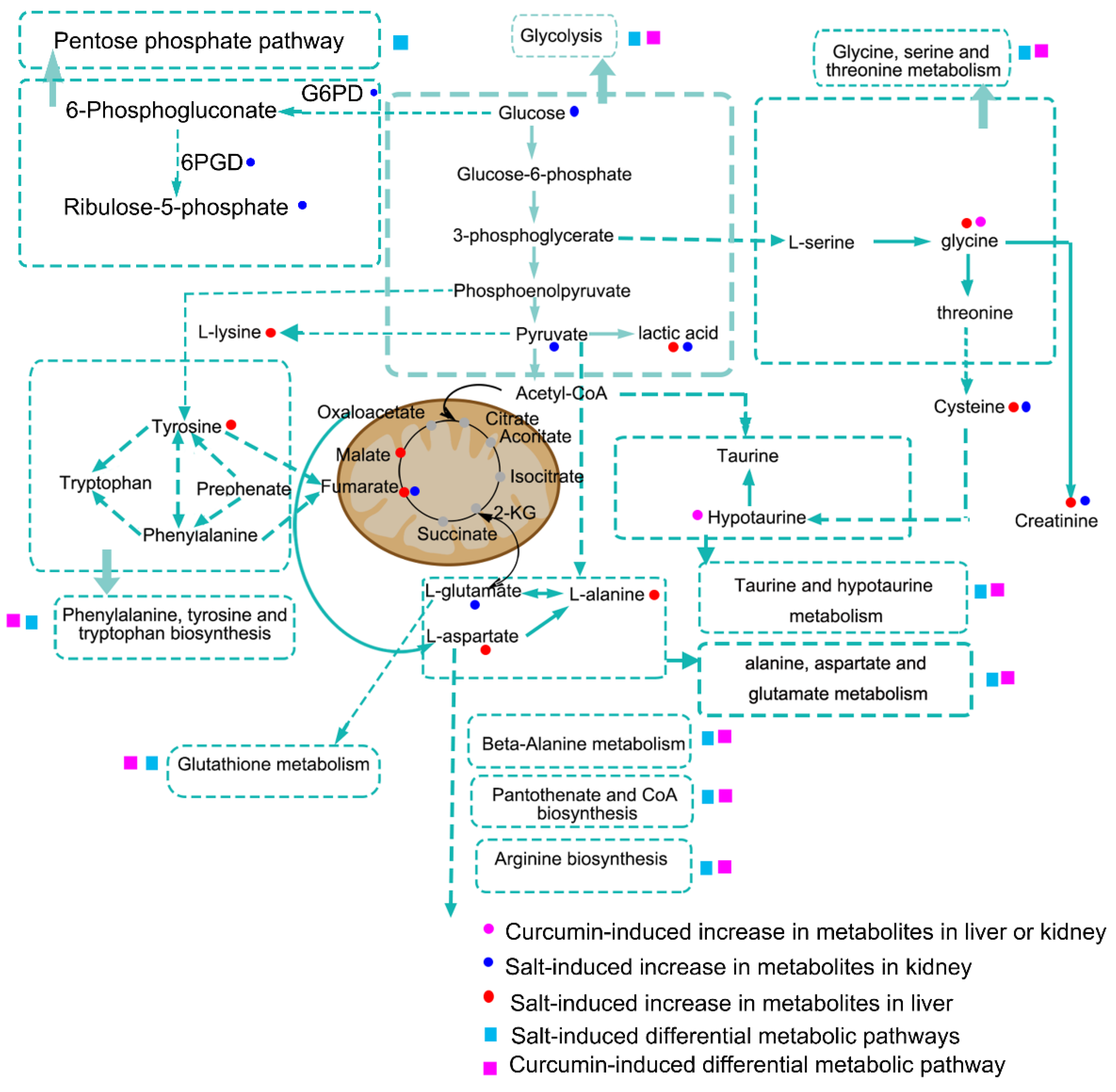Metabolites 12 01076 g009