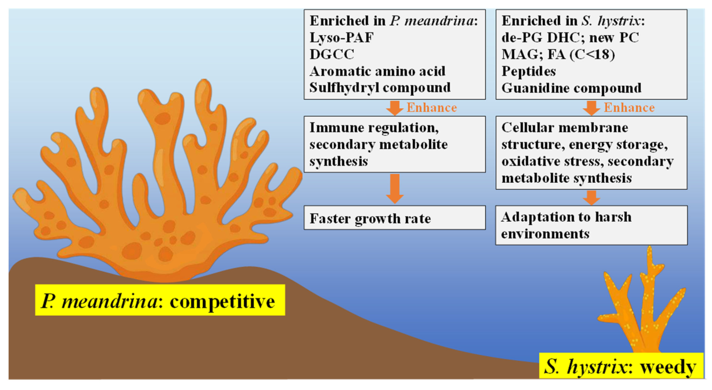 Metabolites 12 01079 g006