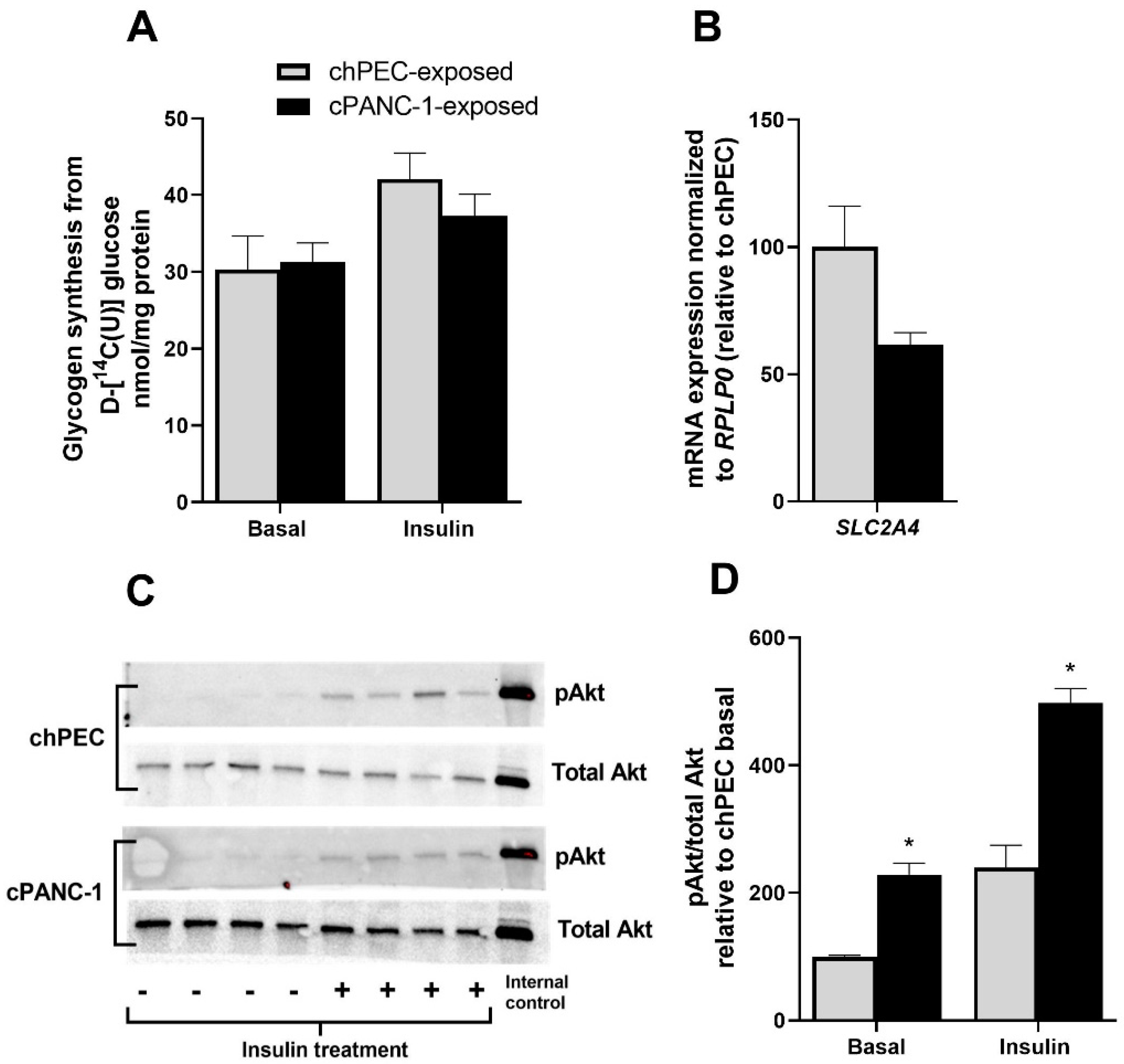 Metabolites 12 01095 g004 Metabolites 12 01095 g004