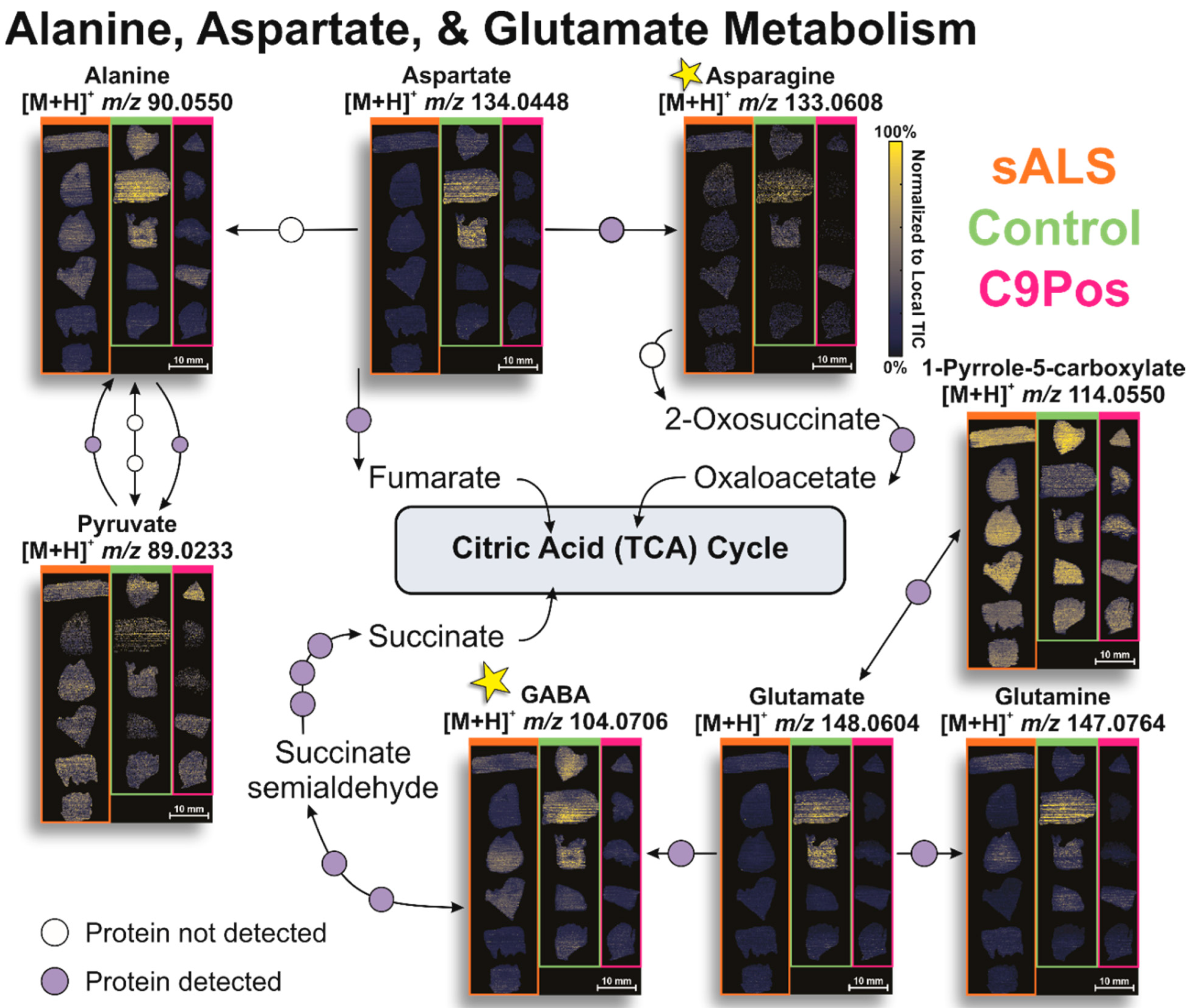 Metabolites 12 01096 g005