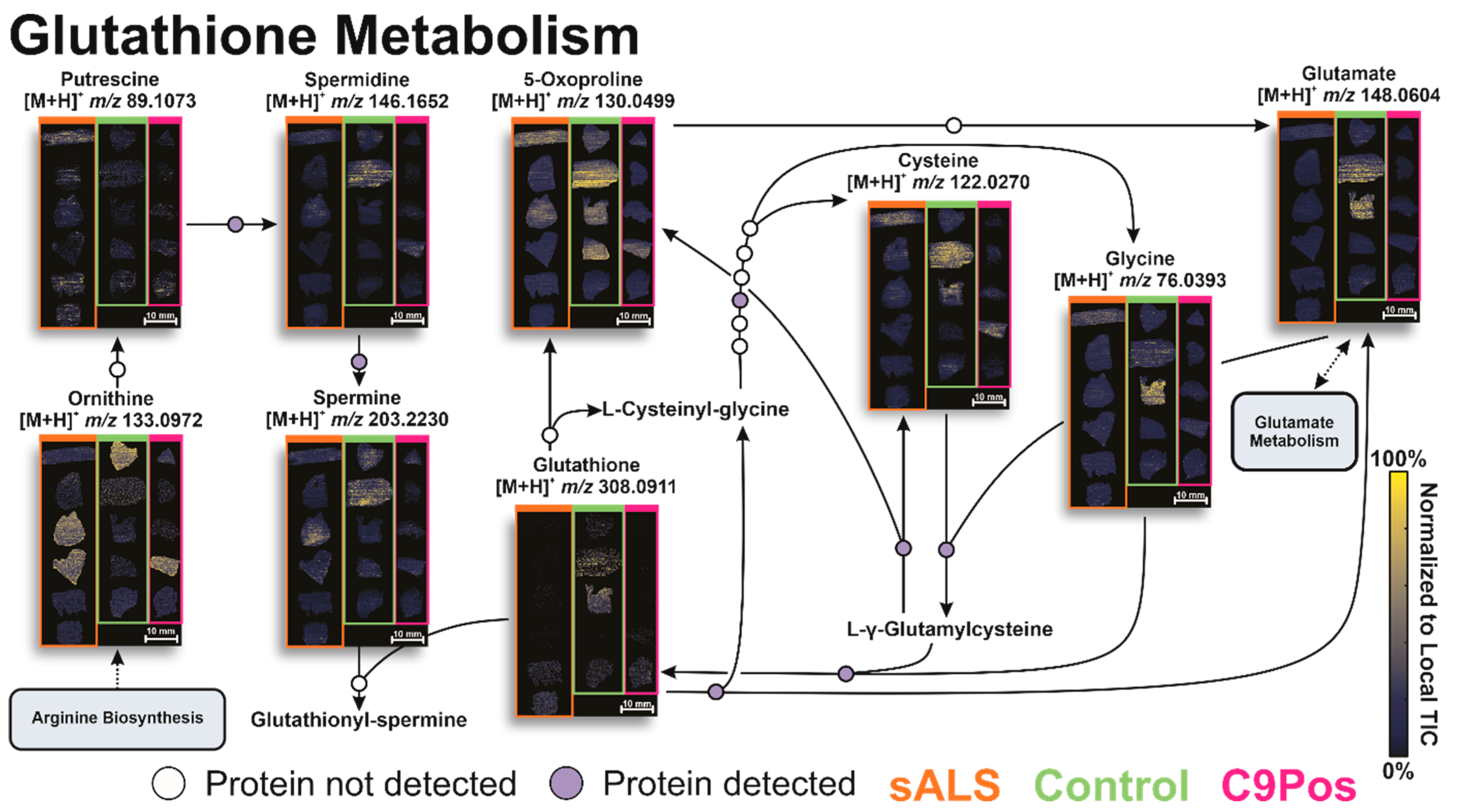Metabolites 12 01096 g006