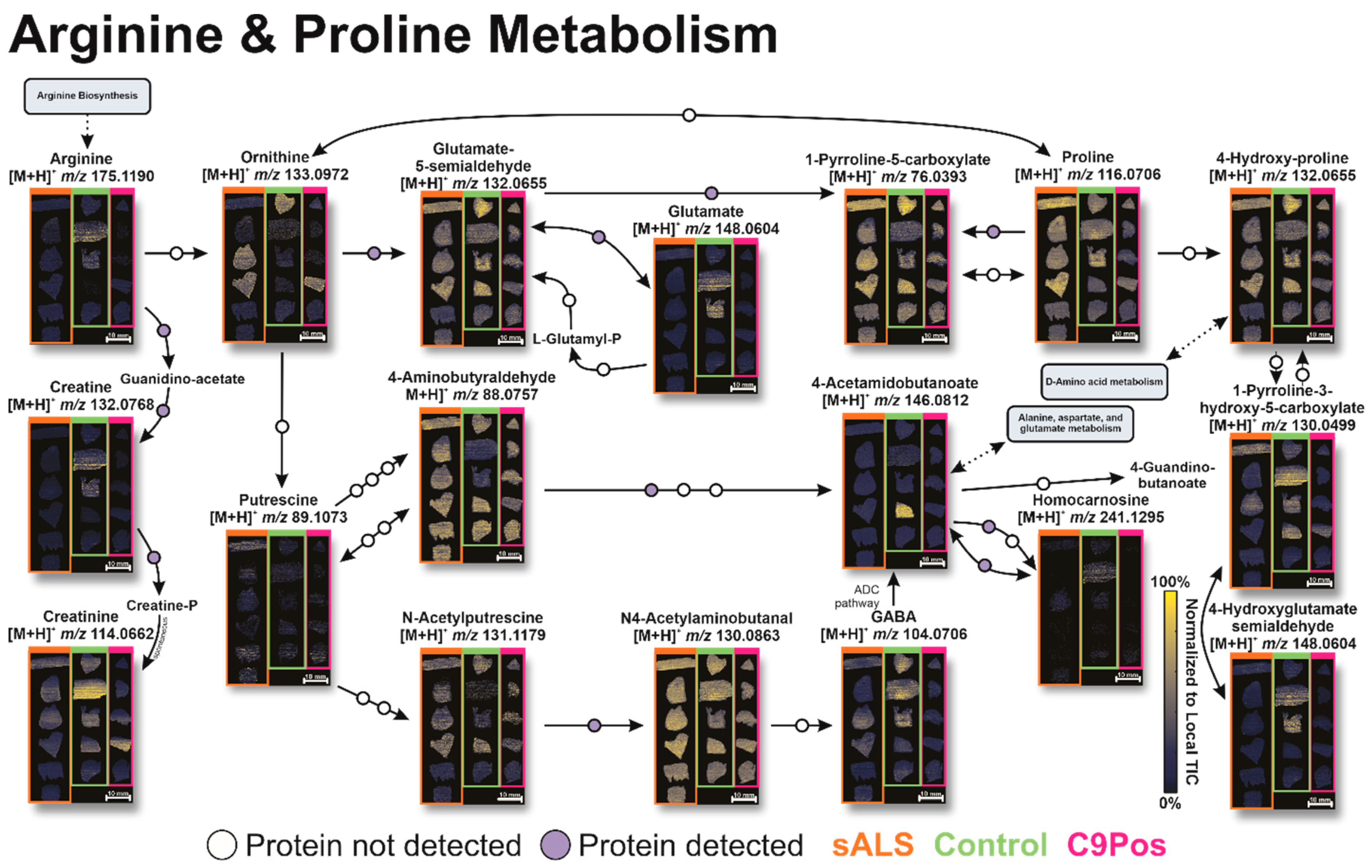 Metabolites 12 01096 g007