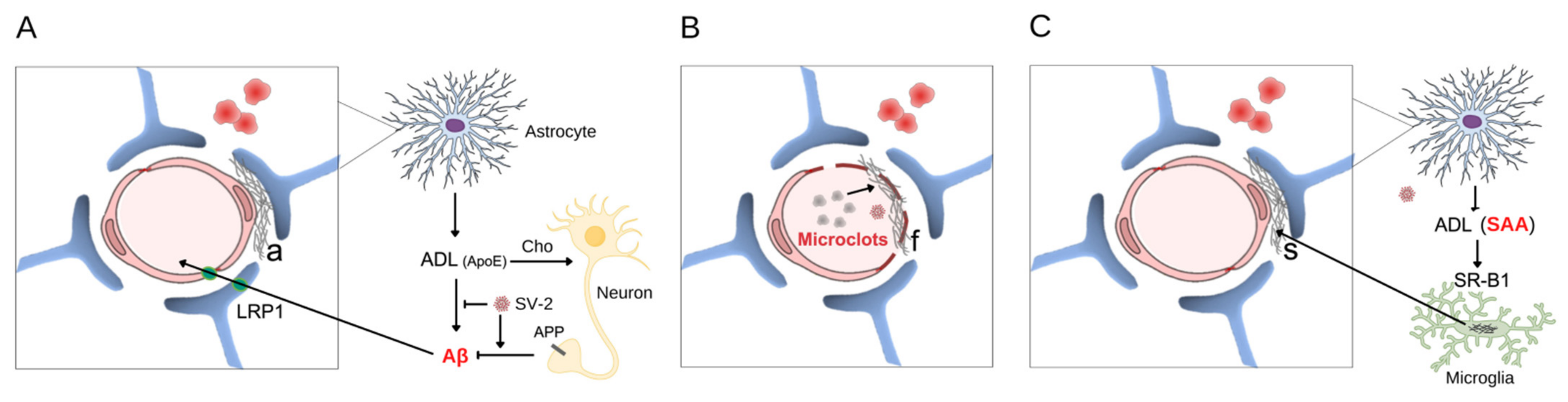 Metabolites 12 01099 g001