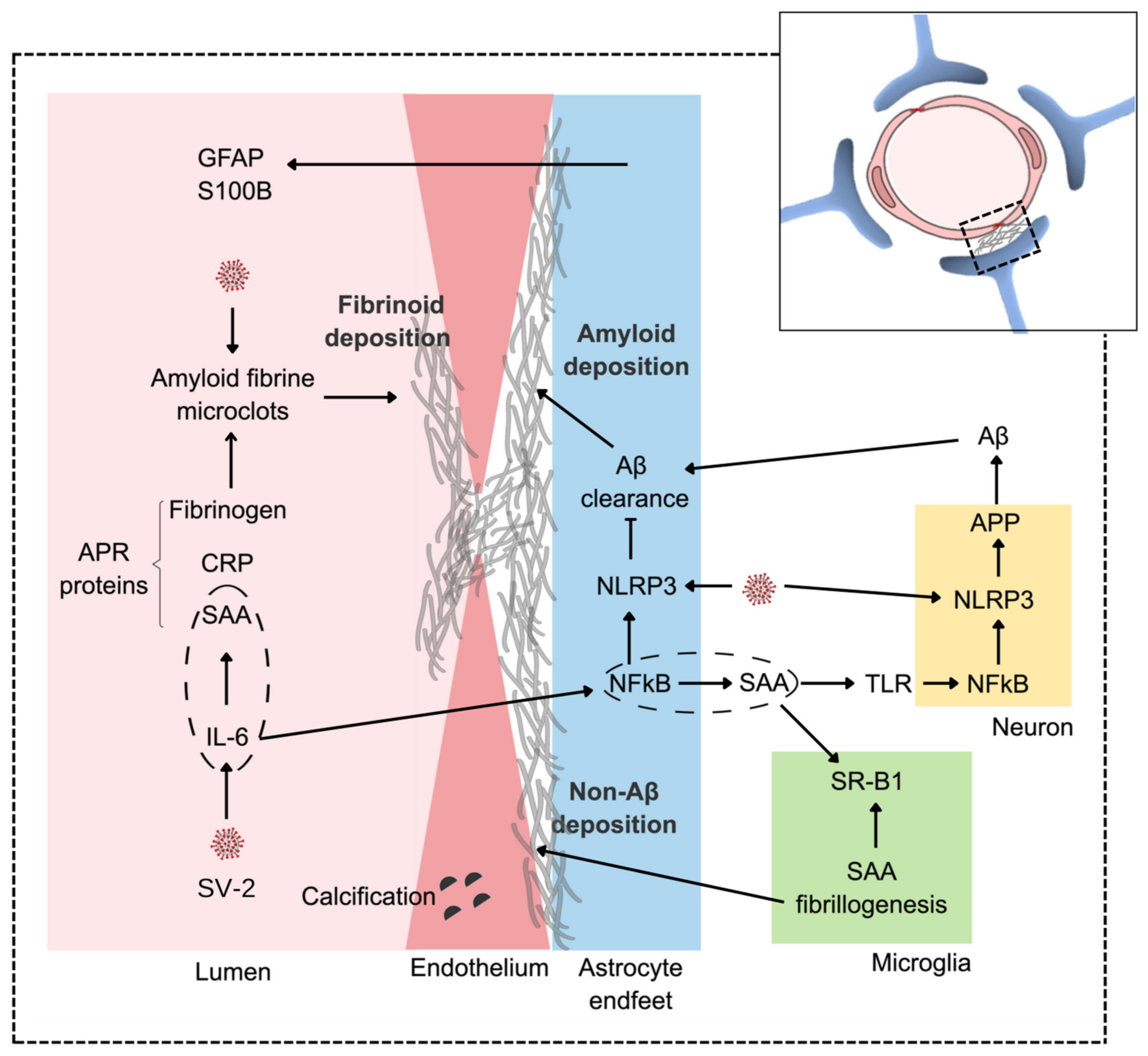 Metabolites 12 01099 g002