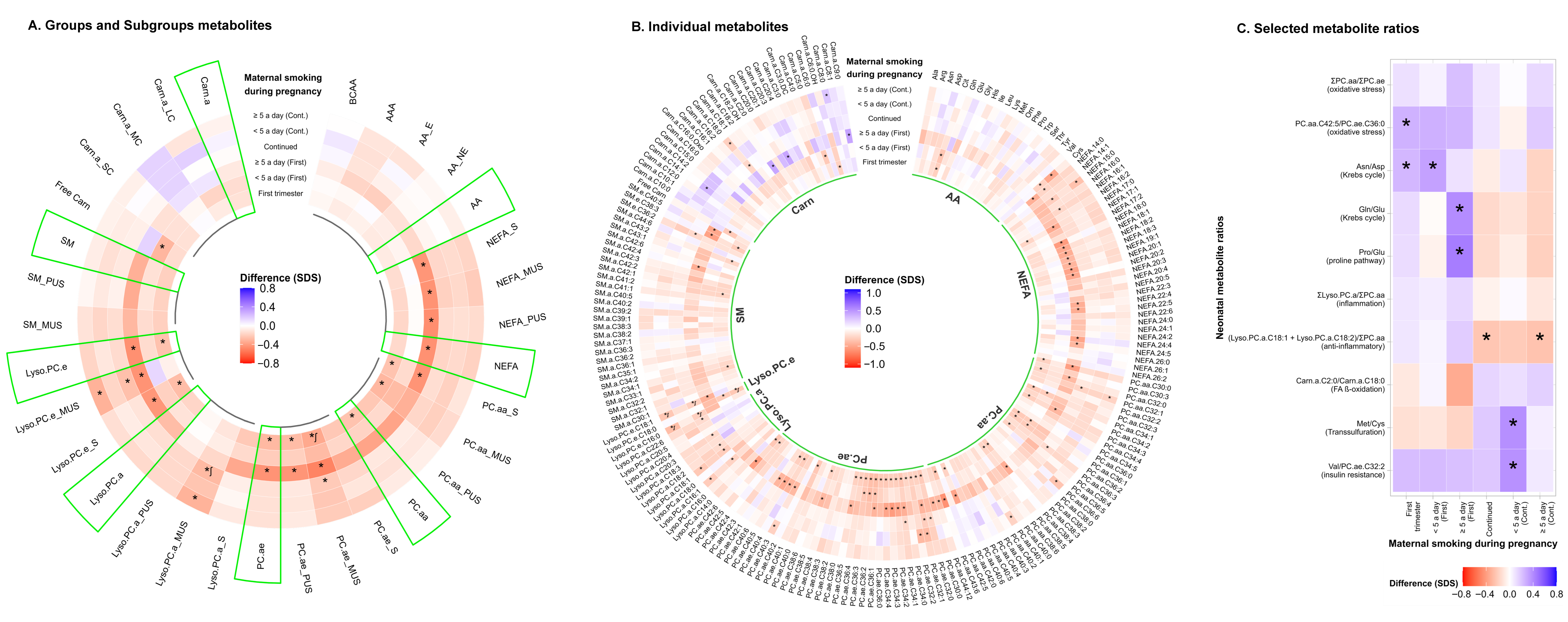 Metabolites 12 01101 g001