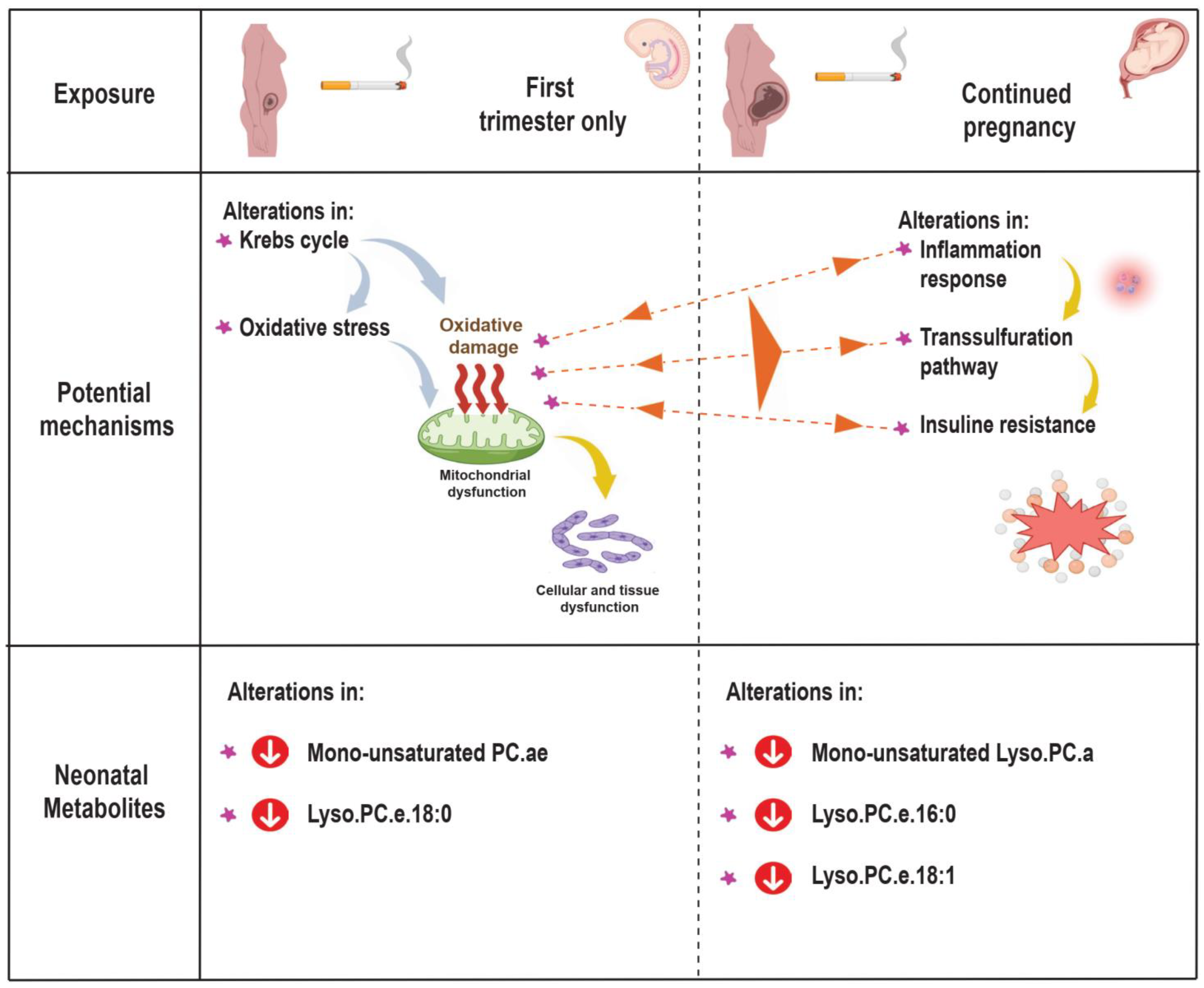 Metabolites 12 01101 g003