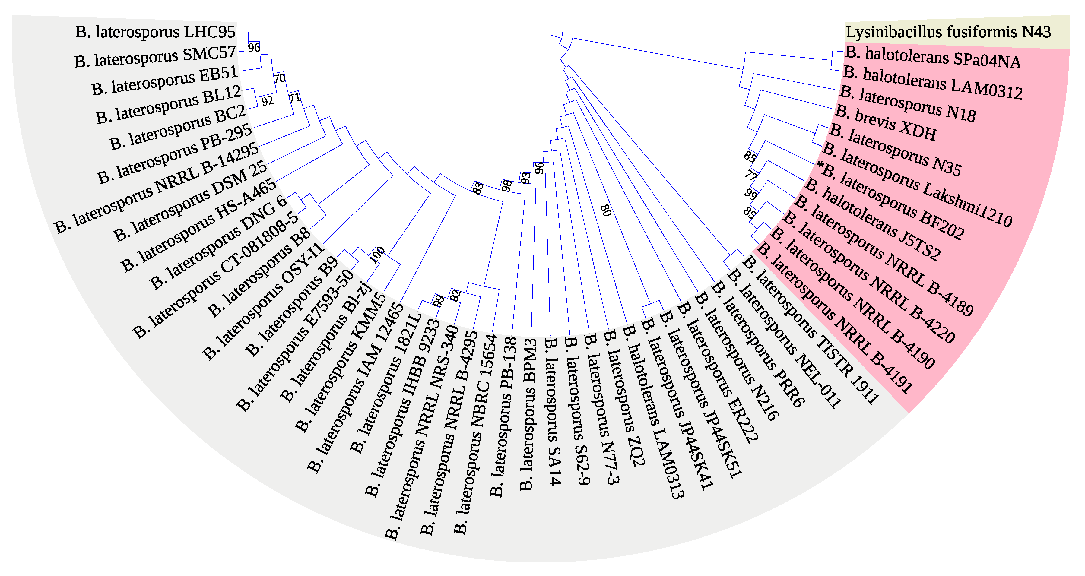 Metabolites 12 01102 g001
