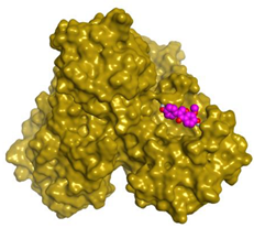Metabolites 12 01109 i006
