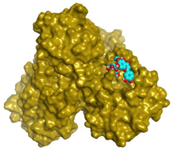 Metabolites 12 01109 i012